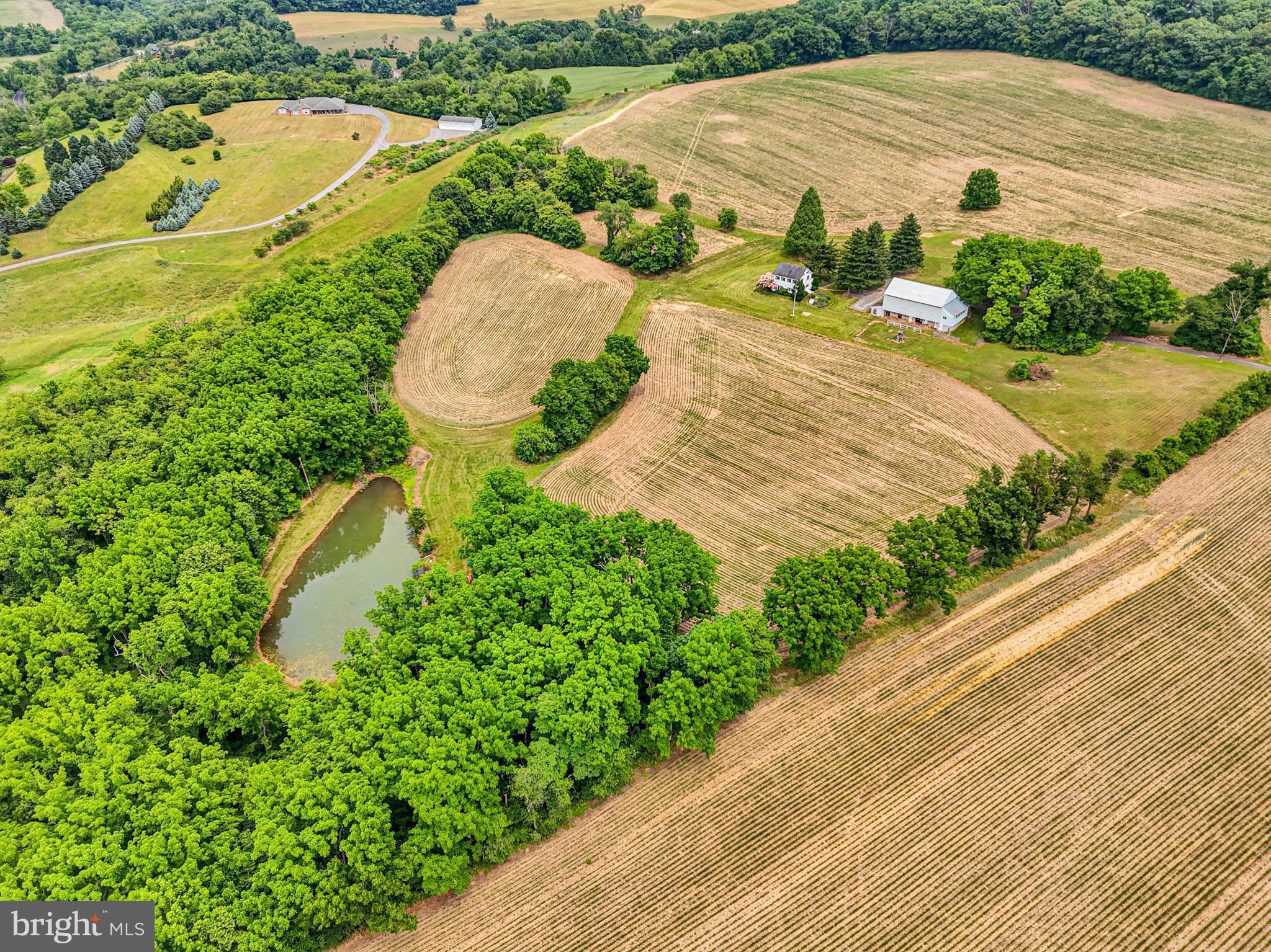 NONE AVAILABLE - Farm