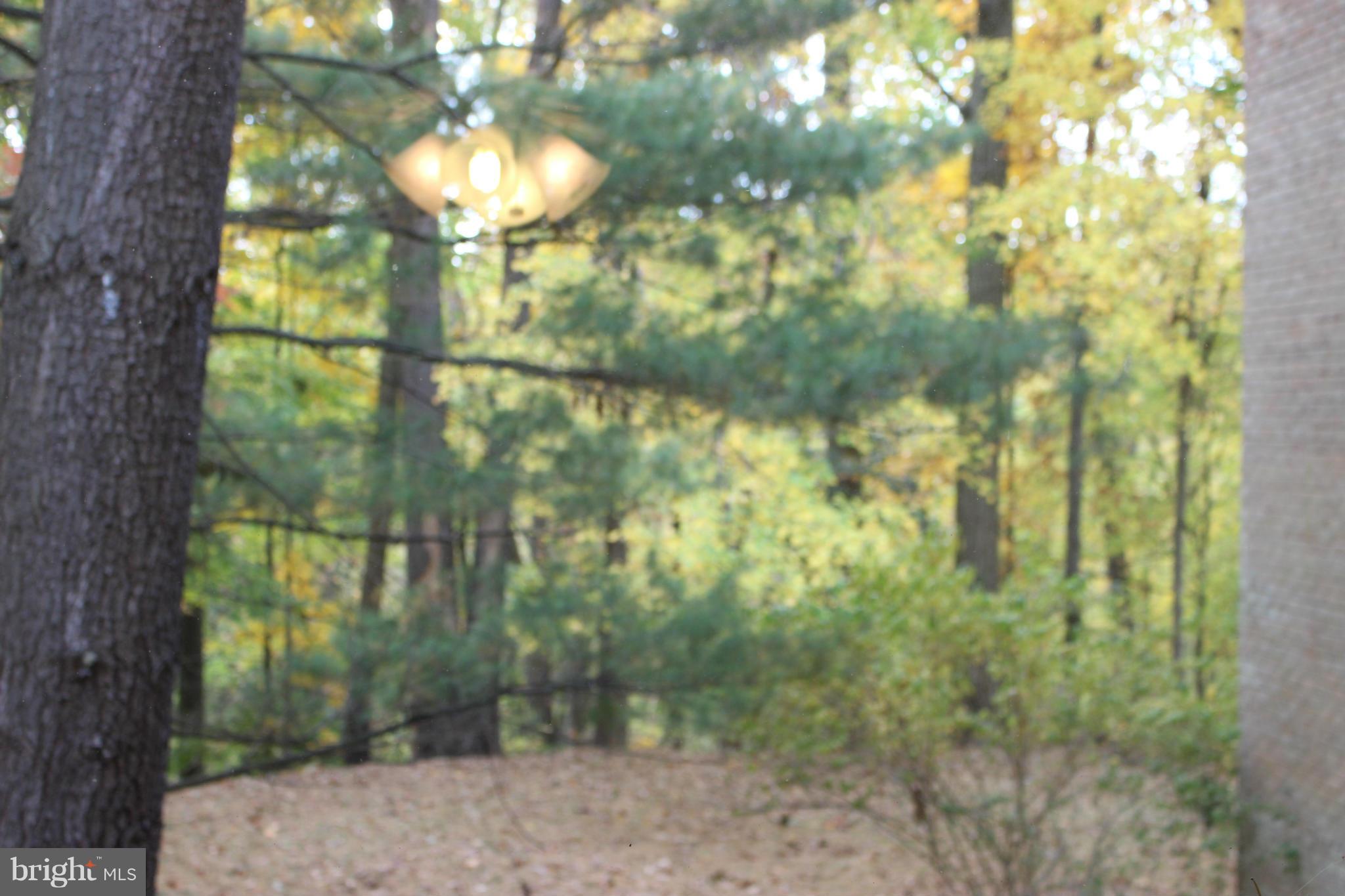PARKSIDE CONDOMINIUMS - Residential Lease
