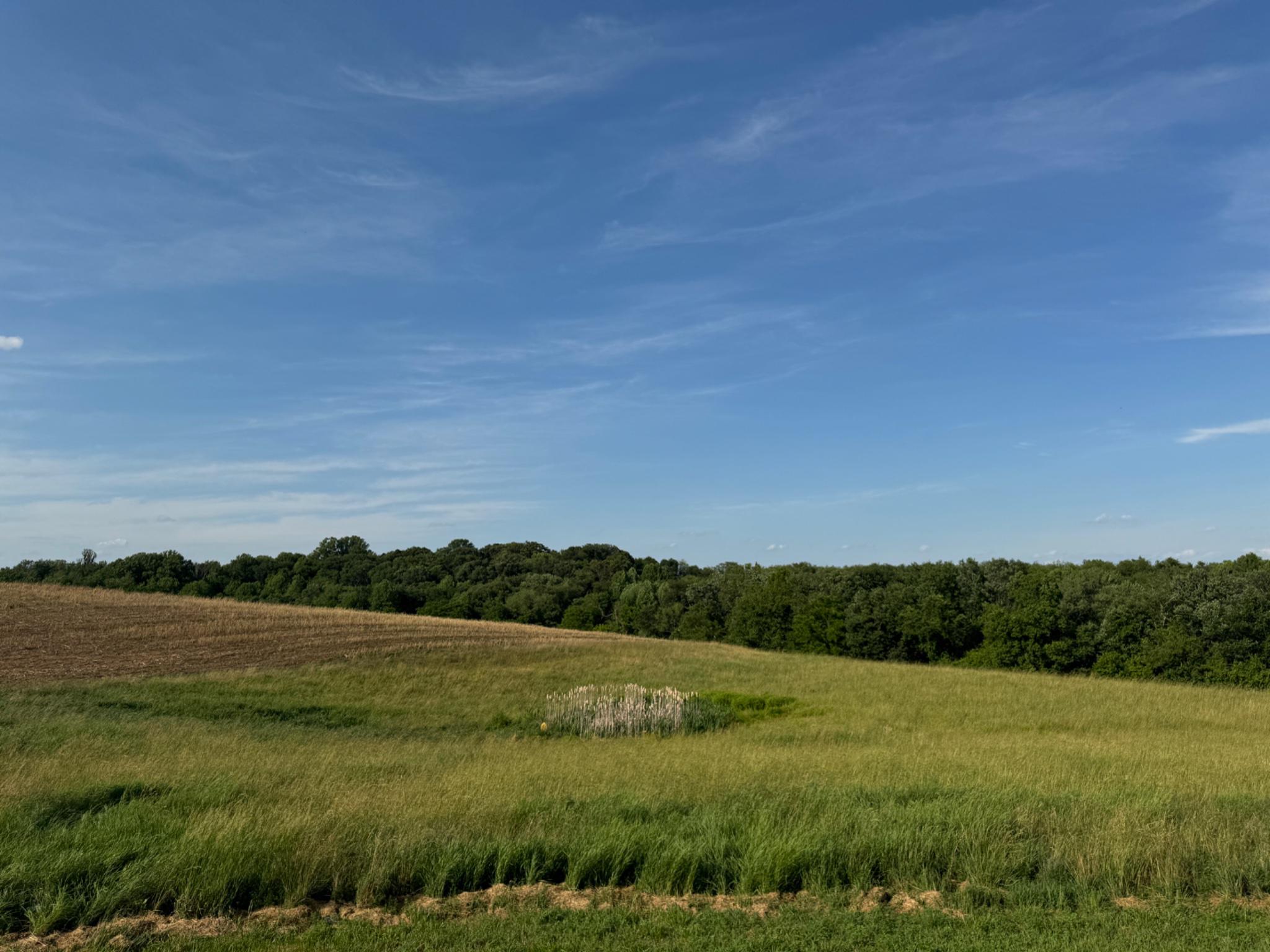 A Once-in-a-Lifetime Opportunity | 139+ Acres of Prime Farmland | Howard County, Sykesville, MD

Opportunities like this one simply don't come around often. Over 139 acres of outstanding, highly productive farmland in one of Howard County's most desirable locations — Sykesville, Maryland.

To sweeten the deal even further, a beautiful all-brick home situated on its own private one-acre lot right in the middle of the farm is also available for purchase under a separate ownership and listing (MDHW2068128 — 13150 Old Frederick Rd). The home and farm share a private driveway but are completely separate properties with different sellers. Both sellers are open to selling to the same buyer as one combined package — or to separate buyers — giving you plenty of flexibility no matter what you have in mind.
This is a rare chance to acquire development rights in a truly special location, whether you're looking for a working farm, a private country escape, or the start of a family legacy estate. The land is ready for your dream home to be built and has everything you need for farming. Electrical utilities are already in place on the property.

Residential & Development Rights: The original farmhouse has been removed, leaving a cleared homesite in front of the four-car garage, right next to the neighboring parcel. The farm has the right to build one primary home at the existing homesite without needing Agricultural Board approval, and there's also the option to build in a different location on the lot with board approval. Two tenant house rights are also available, subject to board approval. The seller is not aware of any additional unrestricted lot rights beyond what's described here.

Land Preservation & Zoning: The property is part of the Howard County Agricultural Land Preservation Program and is zoned RCDEO. Full documentation is available in the listing documents section.

Outstanding Farm Production: For the past ten years, this farm has consistently produced corn, soybeans, and other crops well above the national average — a true reflection of just how good this soil is. Detailed production records and soil grades are available in the documents section.

Lifestyle & Outdoor Living: This property isn't just about farming. It's also a fantastic spot for hunting, keeping horses, grazing cattle, all kinds of outdoor activities, and zoned for many business ventures. And as a bonus, it's located in the zone for some of the top-rated public schools in the area.

Buildings & Infrastructure: The following structures convey with the property:
-Machine Storage Building: 96' L × 38' W = 4,608 SF fully enclosed; door opening 16' W × 16' H; with an attached 96' L × 30' W = -2,880 SF structure enclosed on three sides, one side open
-Four-Car Garage: 40' L × 30' W = 1,200 SF
-Single-wide trailer office
-Well house

All information in this listing is believed to be accurate. Buyers should independently verify all details and accept full responsibility prior to submitting an offer.