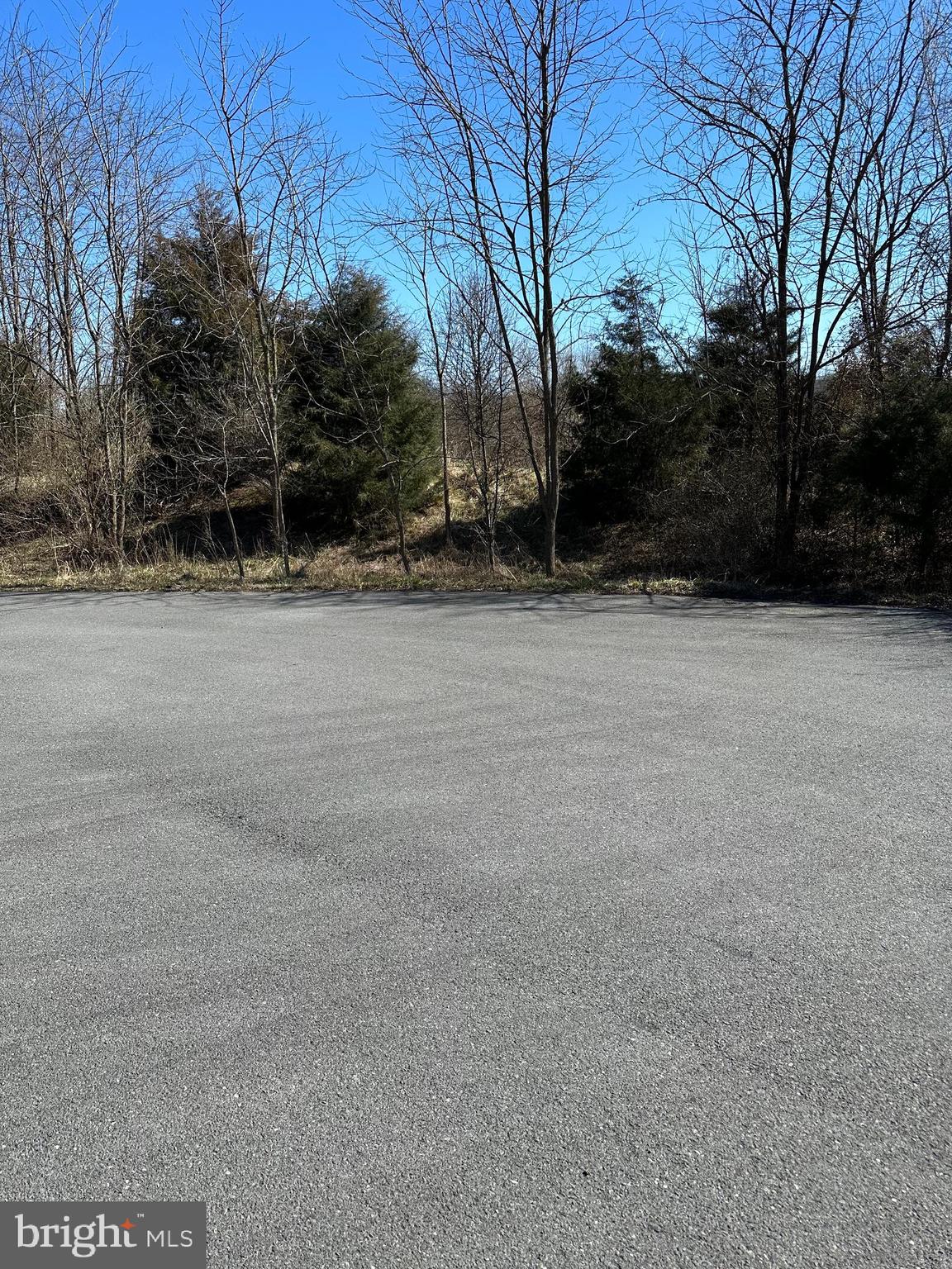 Build your dream home on this beautiful 5.97 acre lot located in the upscale community of Springs at Shepherdstown just minutes from  Historic Shepherdstown WV offering shopping, dining, Shepherd University and wellness center.  Easy access to surrounding Metro DC amenities. Come  to Shepherdstown WV. and build your custom home.  Horses, sheep and livestock are permitted on this lot.  See Article X11 (Agriculture) of the covenants and restrictions.  A well has been installed on this property.