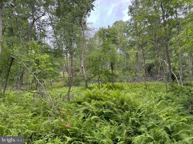 CLEARFIELD BOROUGH - Residential
