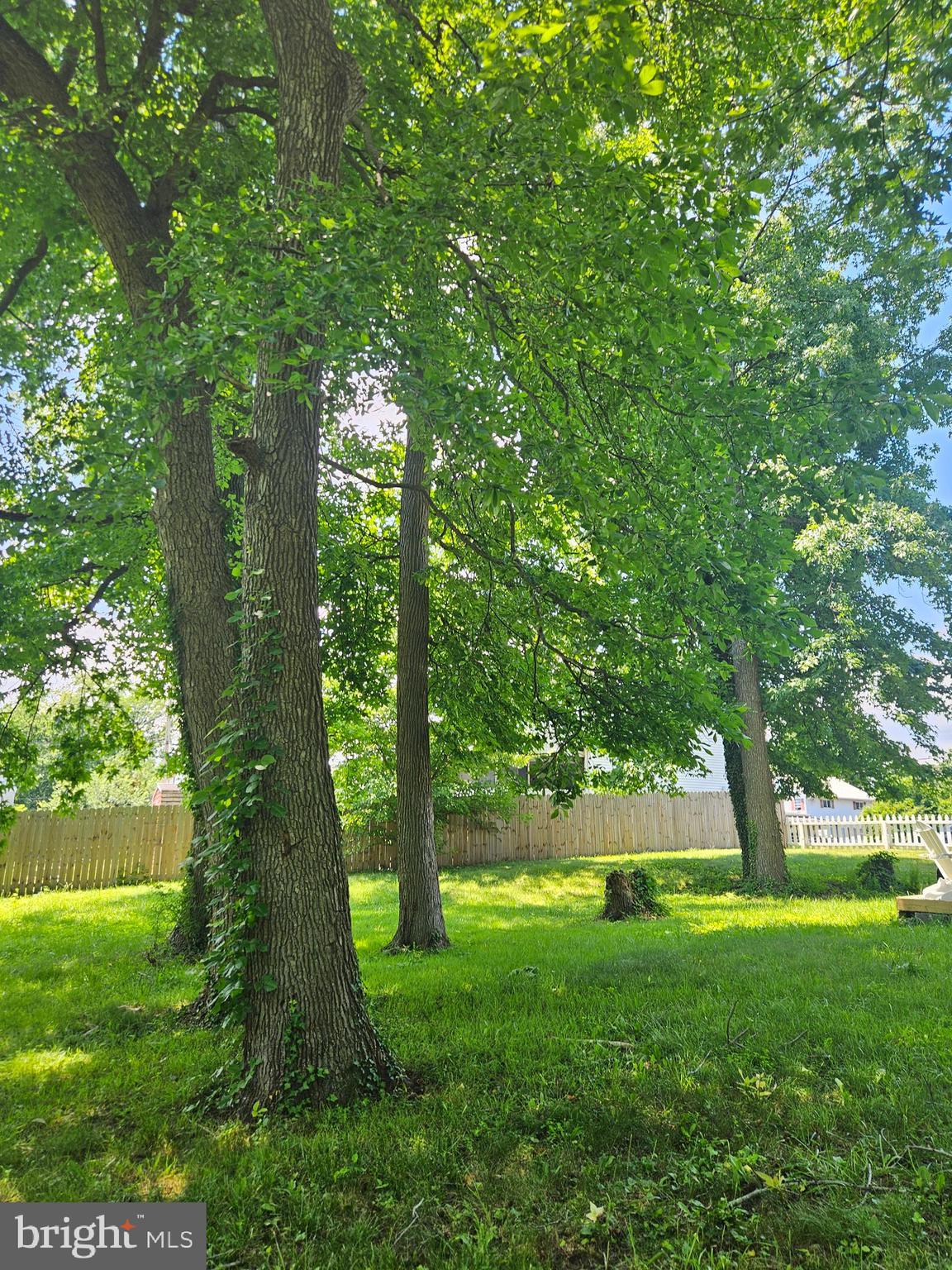 MIDDLEBOROUGH - Residential