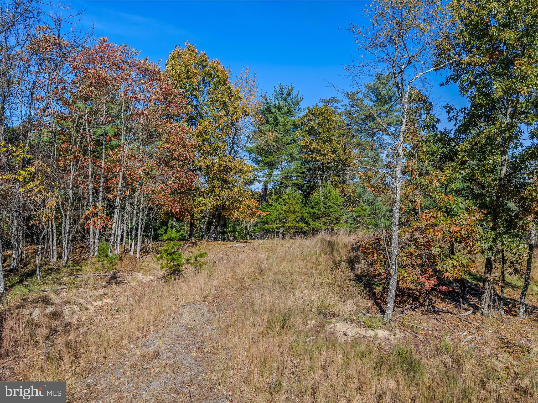 HUNTERS TRACE - Land