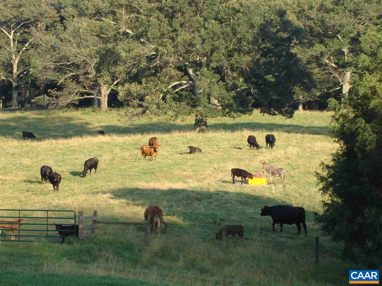 UNKNOWN - Farm
