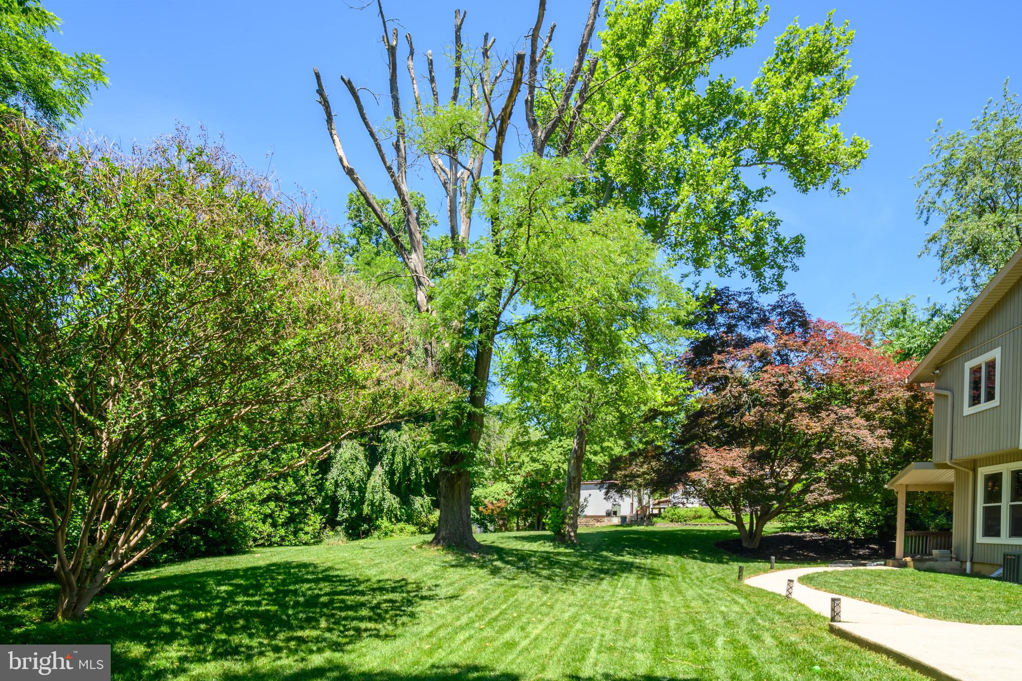 THE BIRCHES - Residential