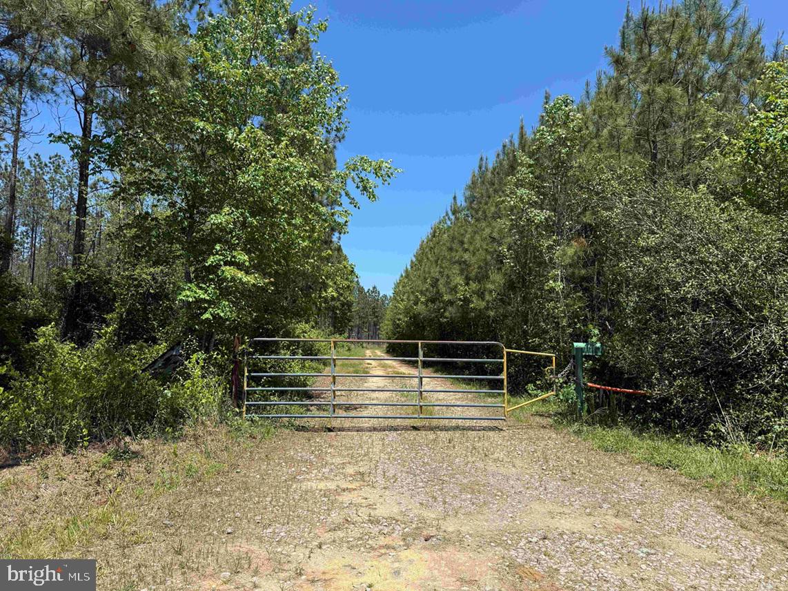 The Surry Dr. Williams-1 Tract comprises 463.57 acres on Laurel Springs Road, approximately 18 miles east of Petersburg and 12 miles northwest of Waverly. The property is generally level and offers about one mile of paved, state-maintained road frontage, along with a solid interior road system that provides access throughout most of the tract.

The timber inventory includes the following stands:
•
