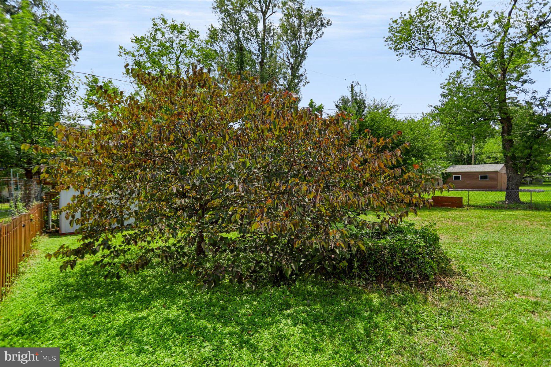 WESTFIELD - Residential