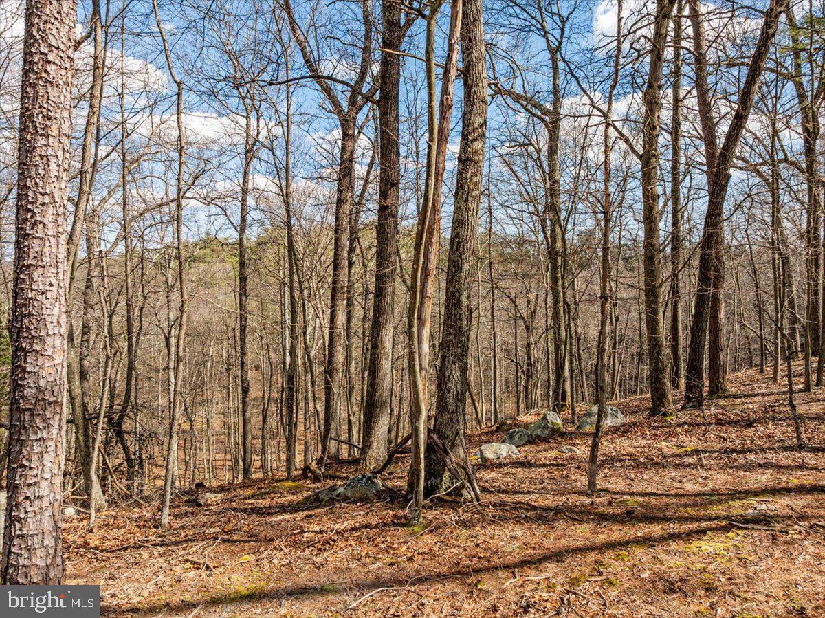 OLD MILL ESTATES - Land