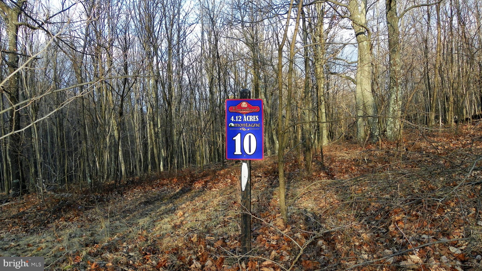 A rare opportunity to own 4.12 acres of peaceful, build-ready land. This beautiful property features a private well already on site and a percolation test for septic on file with the county, saving you time and money. Tucked away in a quiet, serene setting, this is the perfect place to build the home you’ve been dreaming of.

While it’s bittersweet for our family to let this property go, life has taken us in a different direction—creating an incredible opportunity for the next owner. Our loss truly is your win. Priced to sell, this piece of heaven offers privacy, tranquility, and plenty of room to enjoy the outdoors.
