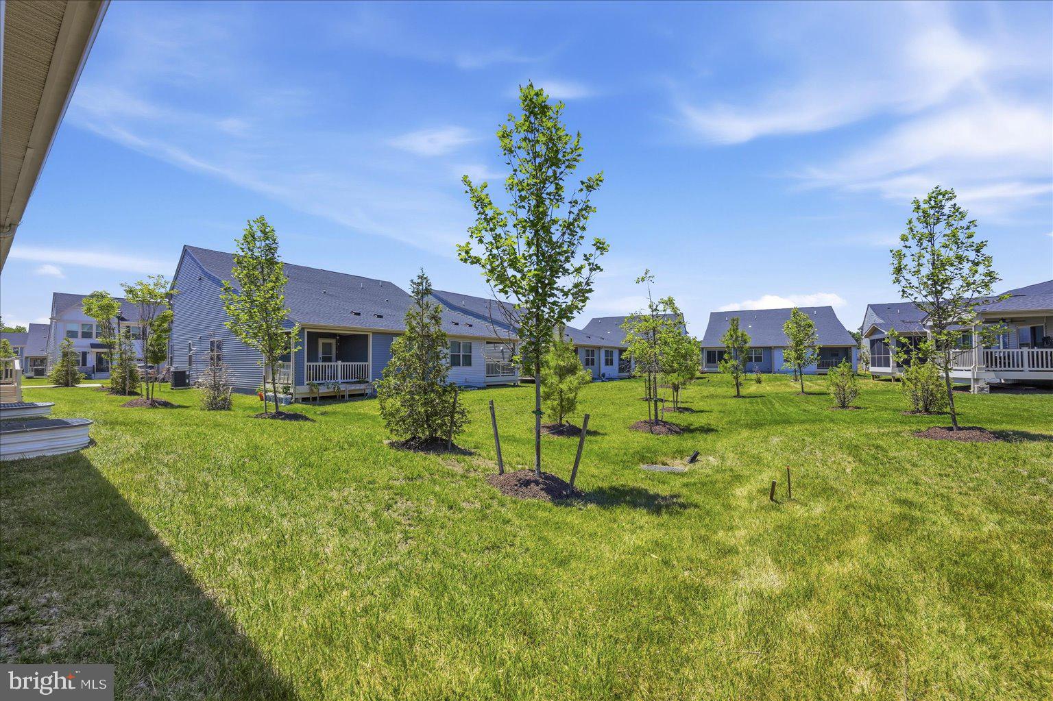 TIMOTHY BRANCH 55+ - Residential