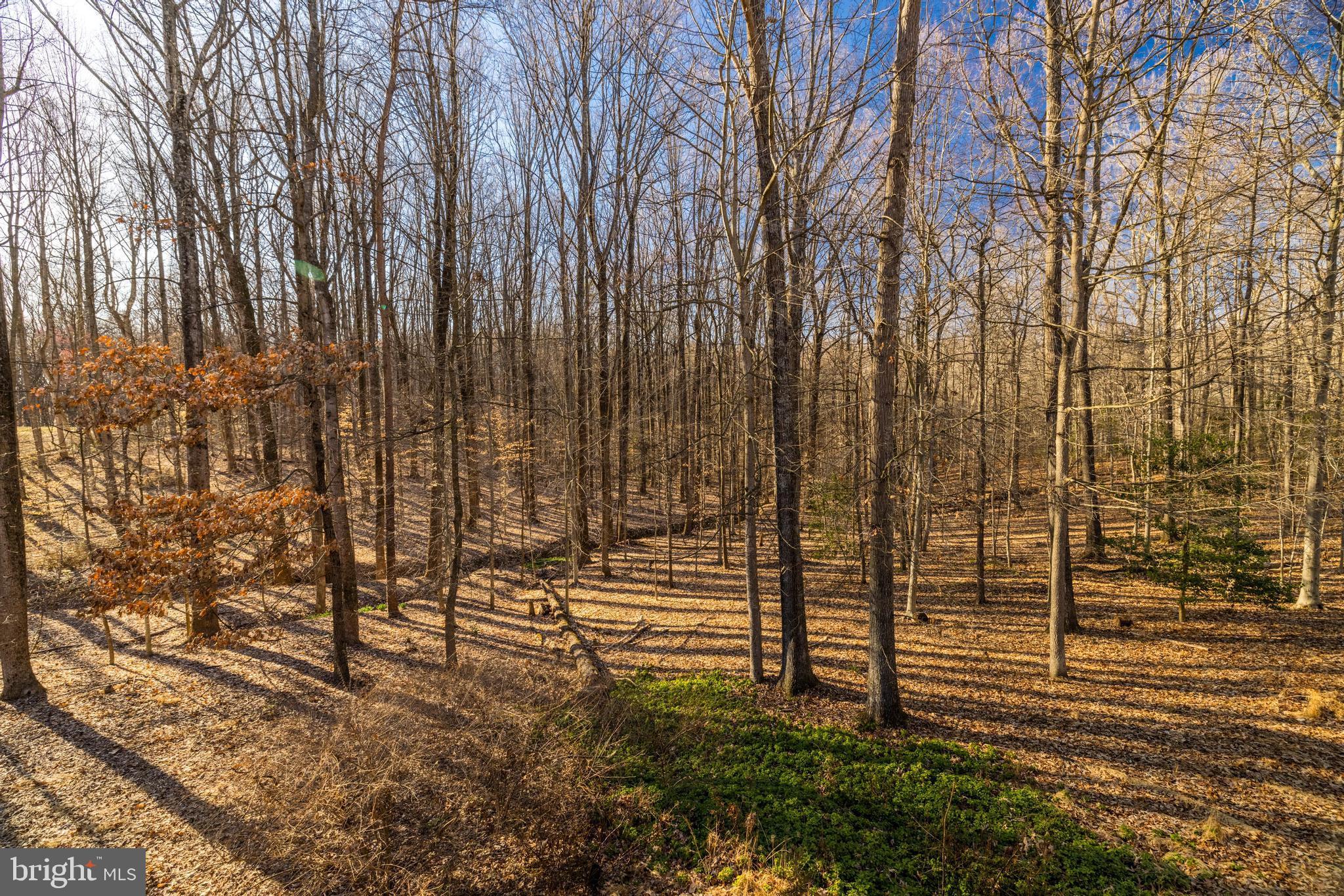 CHINQUAPIN MANOR - Residential