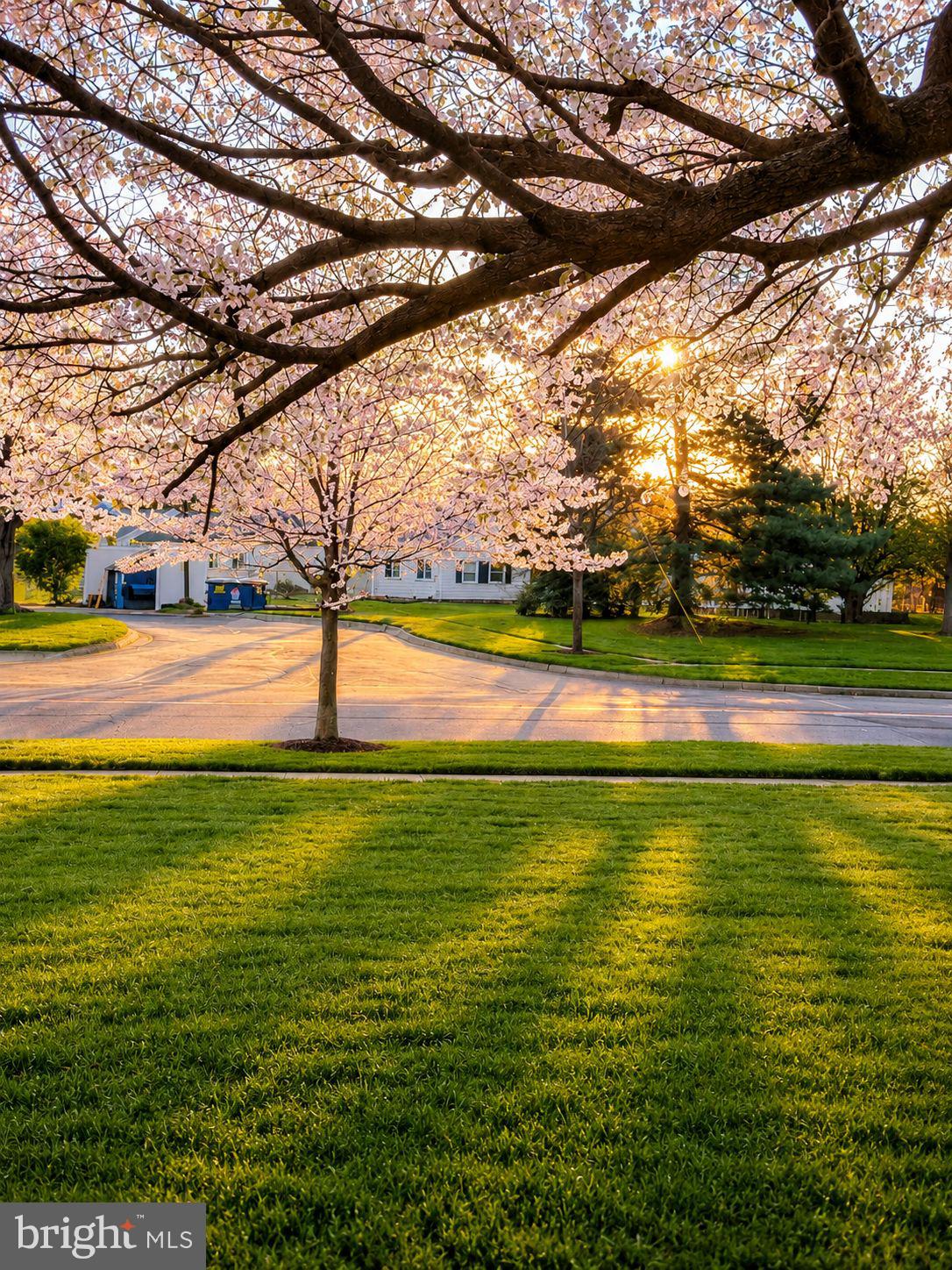 SCENERY POINTE CODM - Residential