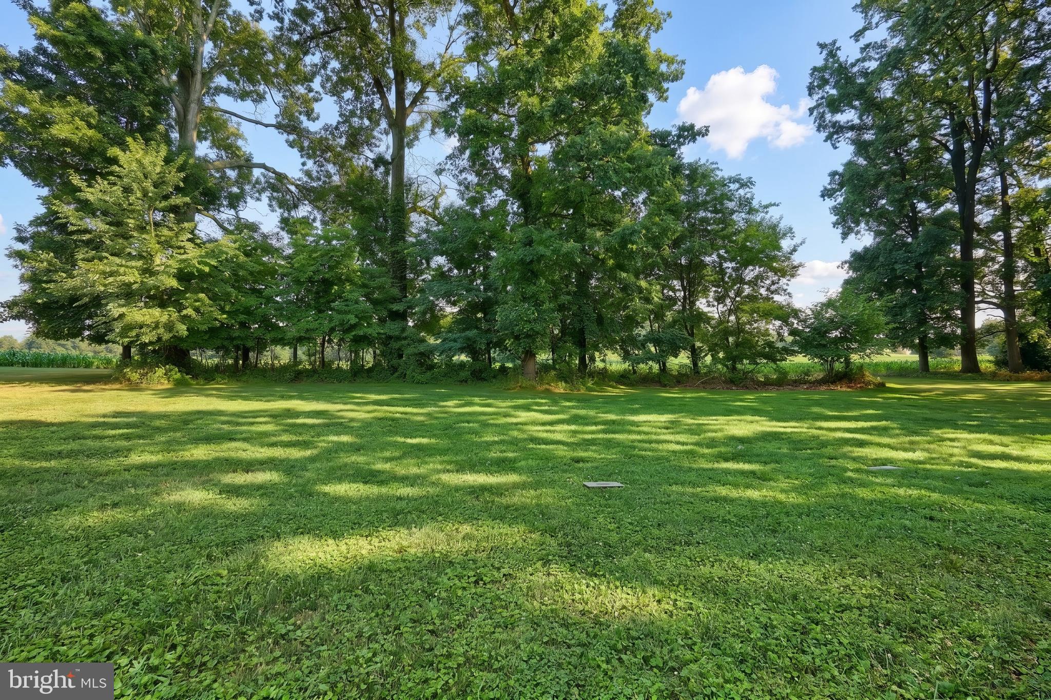 FOREST HILLS - Residential