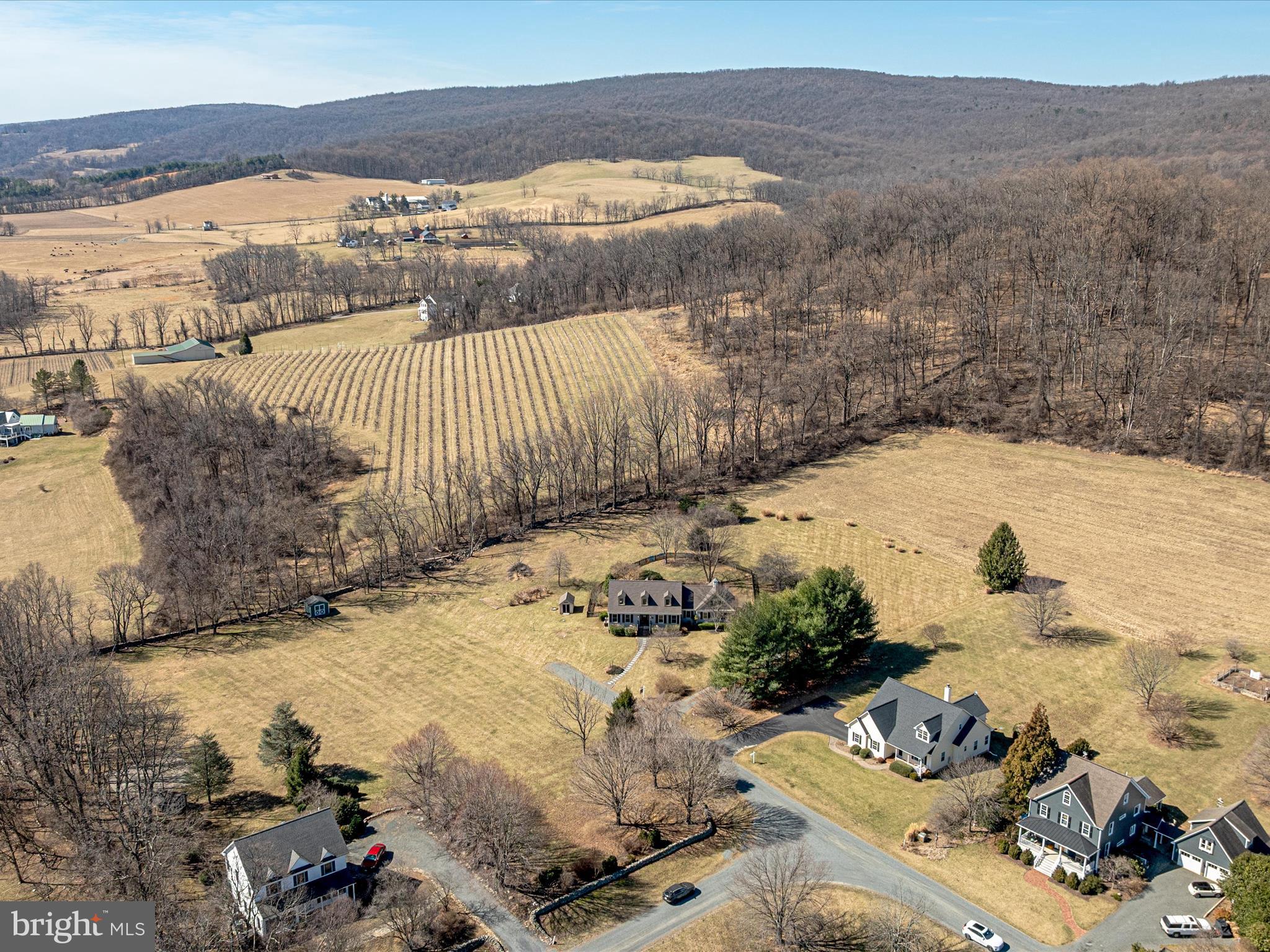 BIRCH HOLLOW HAMLET - Residential