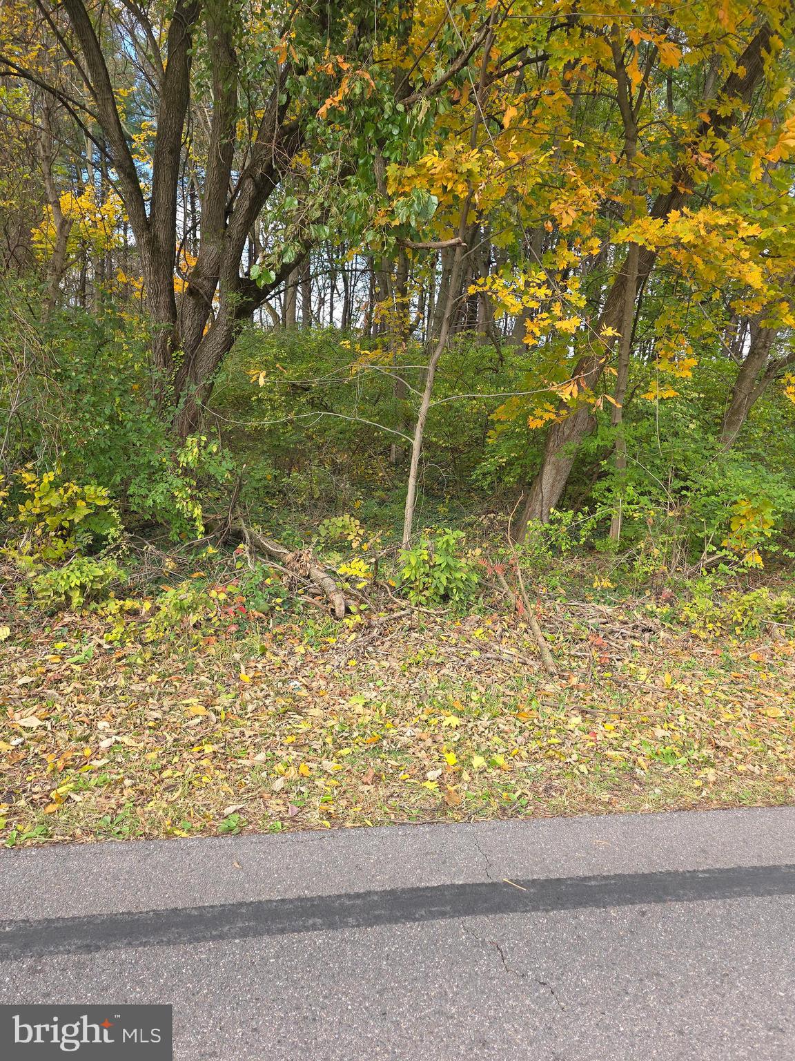 PRICE REDUCED: This .81 acre vacant parcel of land on Paradise Church Road for sale.  This lot has access to public water..  No building restrictions or HOA concerns.  Potential buyer(s) need to do their due diligence with regards to local government restrictions or guidelines towards new construction in Washington County.  The property has access to public water, but will need to be PERCed and a septic put in place; if the PERC is successful.