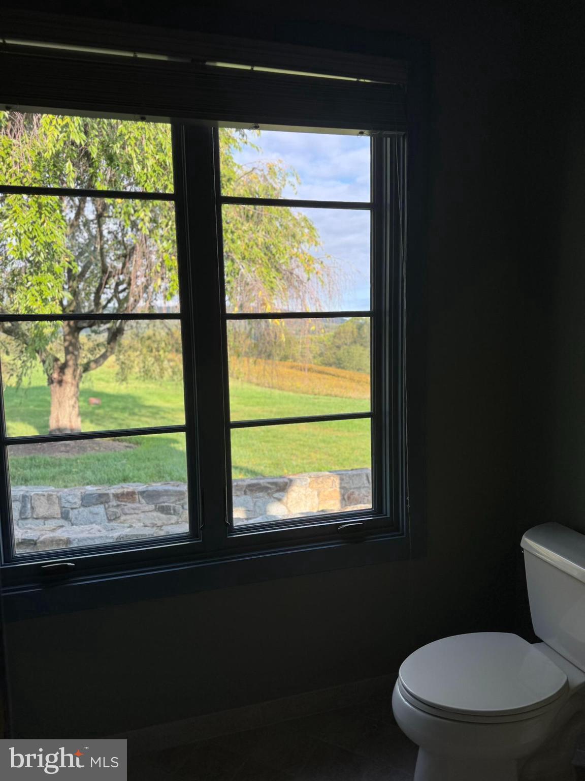 COMUS SUGARLOAF - Farm