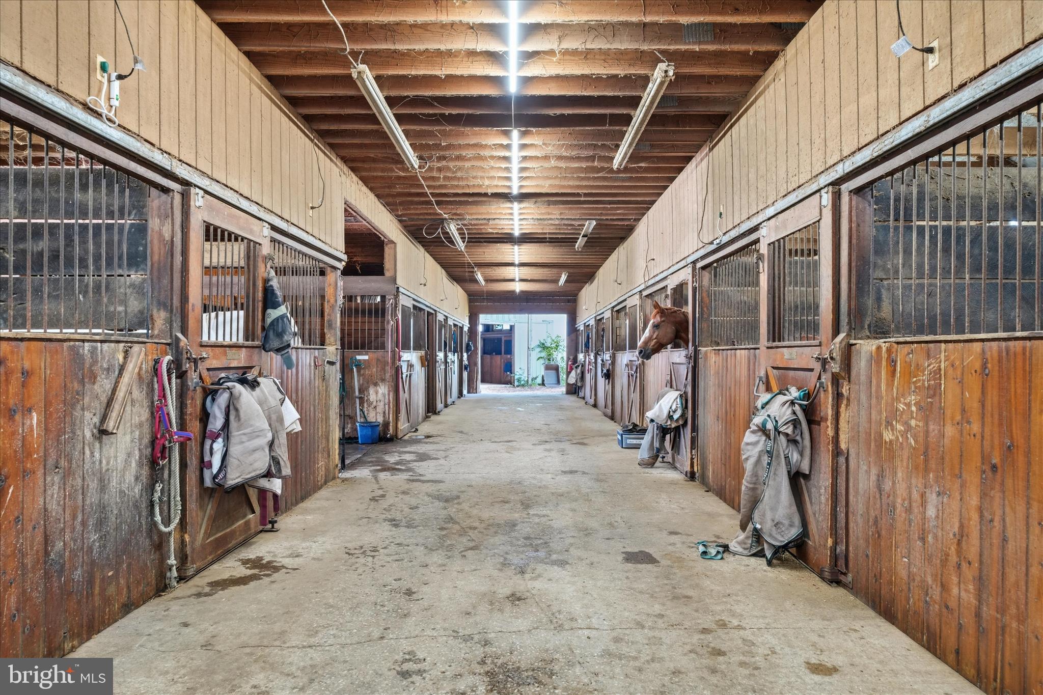 NONE AVAILABLE - Commercial Sale