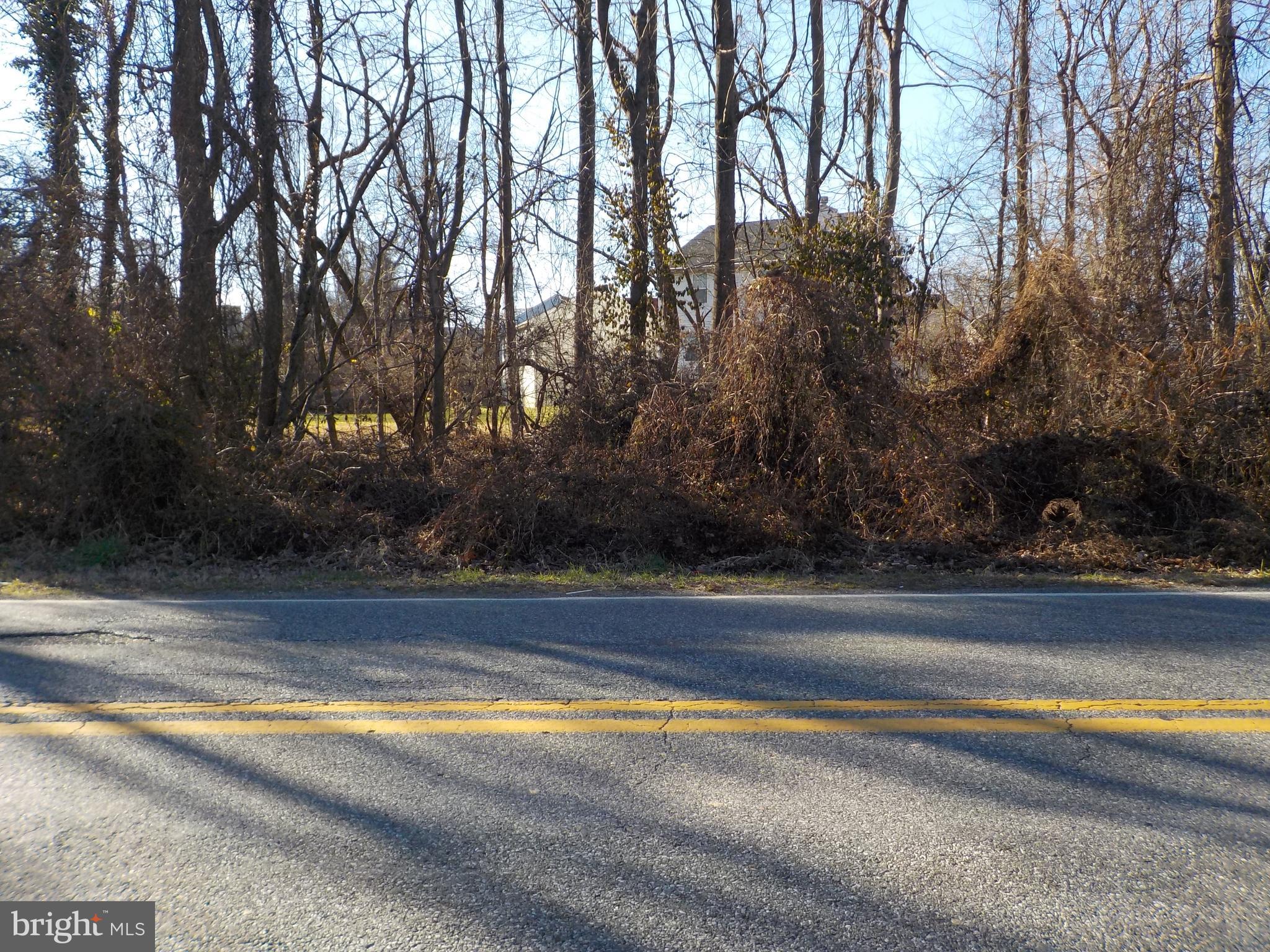 Single Family building lot. Recorded. Must be sold with lot next door at 1005 Rollins Ave. Settlement to be done at Title Max.