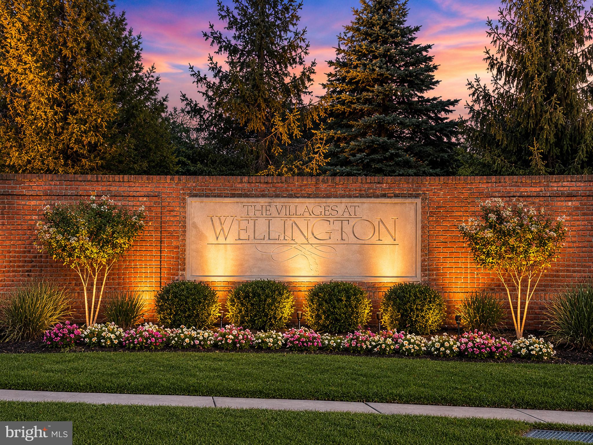 THE VILLAGES AT WELLINGTON - Residential