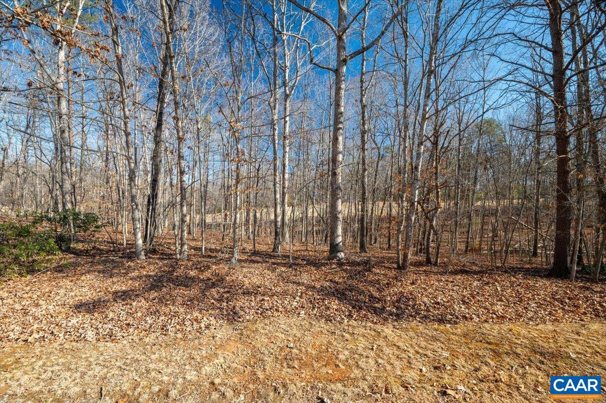 SHENANDOAH CROSSING - Land