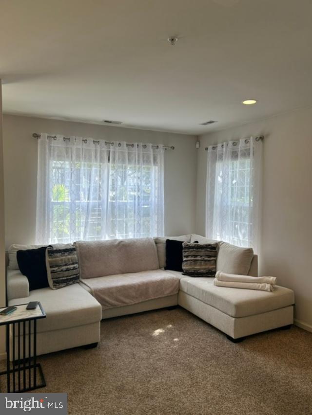 LAMPLIGHTER VILLAGE - Residential