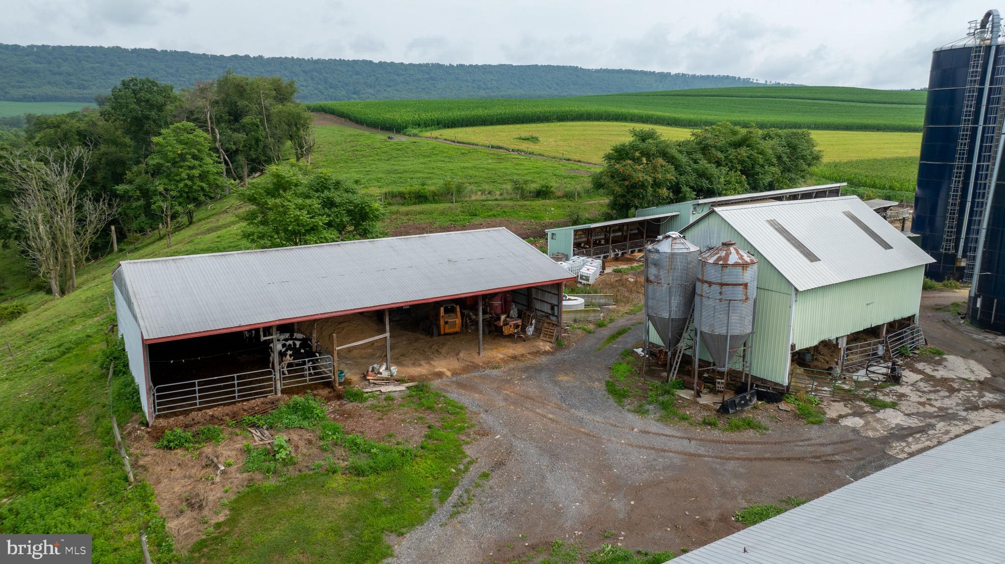 NONE AVAILABLE - Farm