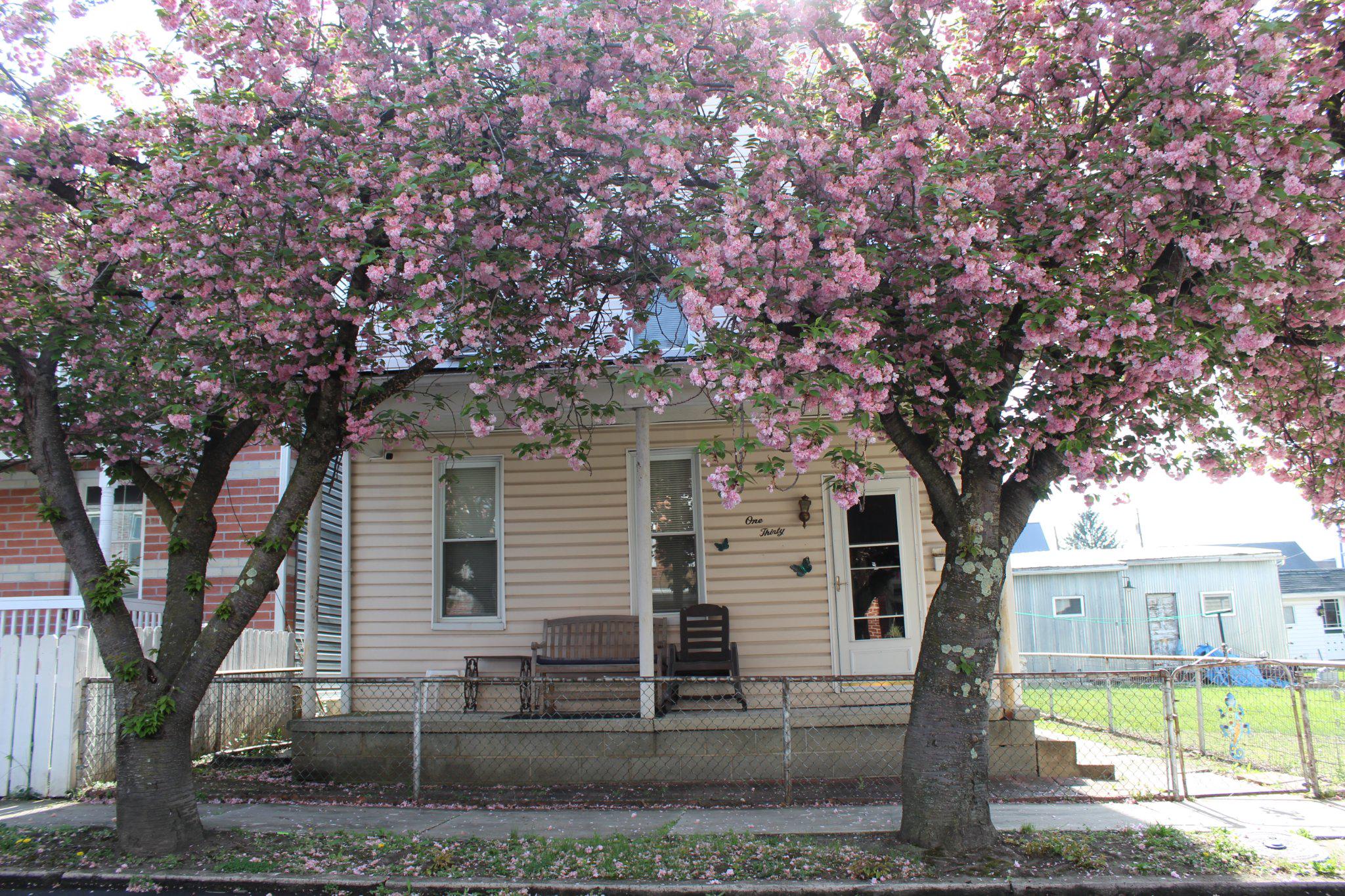 CHECK OUT THIS ATTRACTIVE 3 BDRM - ONE BATH HOME LOCATED CLOSE TO SHOPPING - RESTAURANTS AND I-68 - THE MAIN LEVEL FEATURES AN EAT-IN KITCHEN - LAUNDRY RM - LG DIN RM WITH POCKET DRS AND A LG INVITING LIV RM - THE UPPER LEVEL OFFERS 3 LG BDRMS AND A RECENTLY (2025) REMODELED BATHROOM WITH A WALK-IN SHOWER - THIS HOME ALSO  HAS LOTS OF CLOSET SPACE WITH A  WALK-IN  AND SEVERAL DOUBLE CLOSETS - OTHER UPDATES INCLUDE A GAS FURNACE IN 2022 - HOT WATER TANK IN 2023 AND NEWER GUTTERS WITH LEAF GUARDS
OTHER AMENITIES INCLUDE AN ALLURING FRONT PORCH FOR RELAXING AND A FENCED IN YARD WITH A NICE SIZED SHED TO CARE FOR OUTDOOR ITEMS