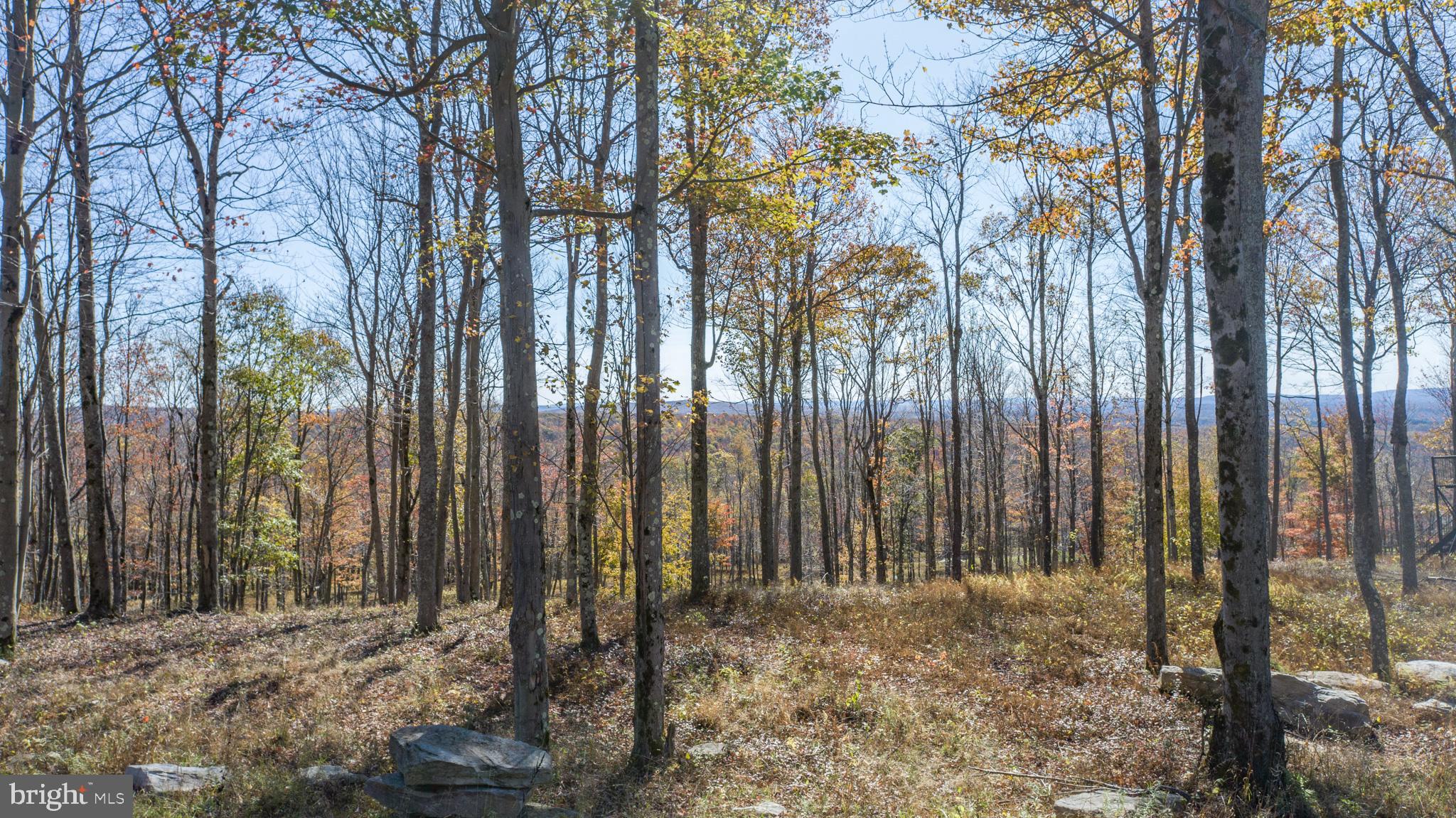 NORTH CAMP - Land