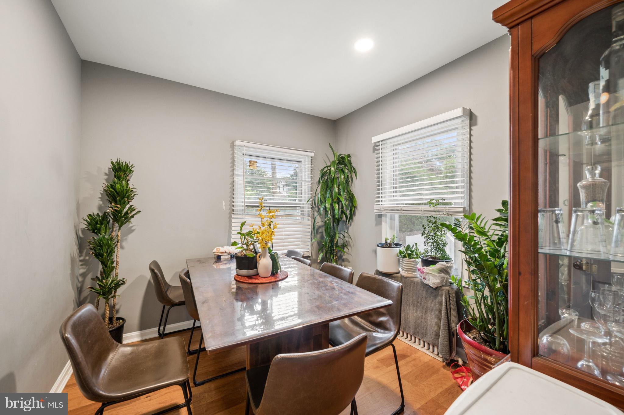 MOUNT RAINIER - Residential