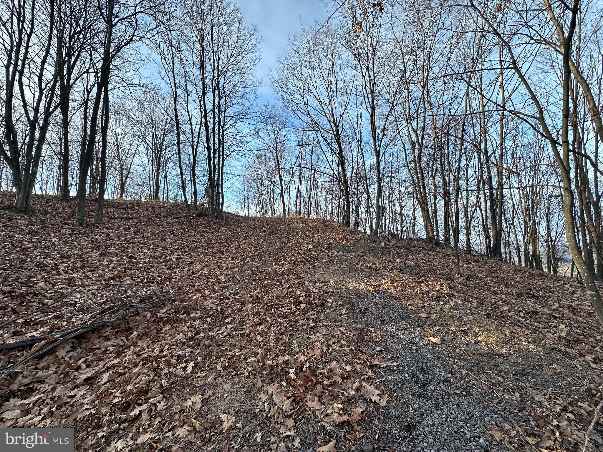 ASHTON WOODS - Land