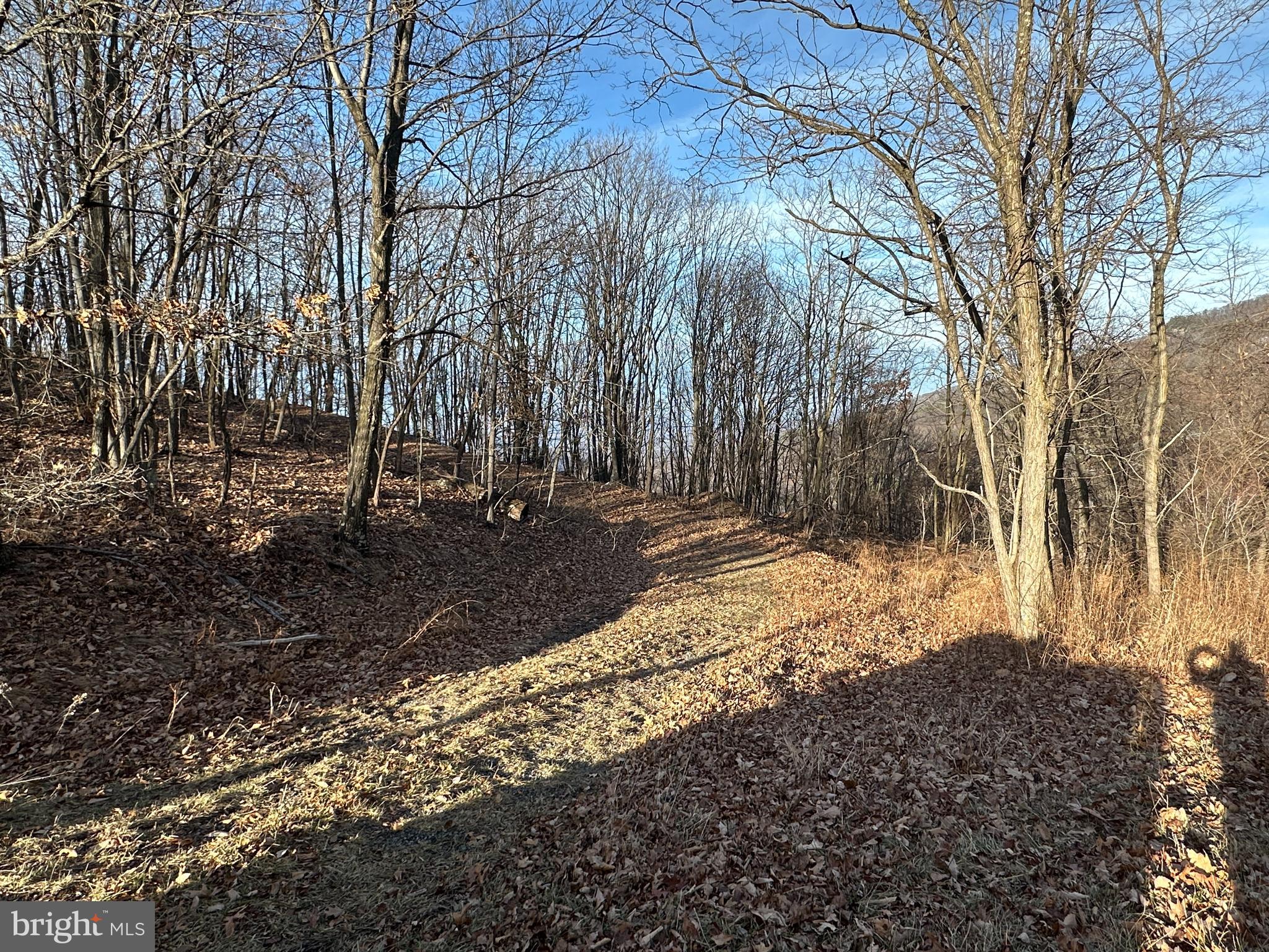 ASHTON WOODS - Land