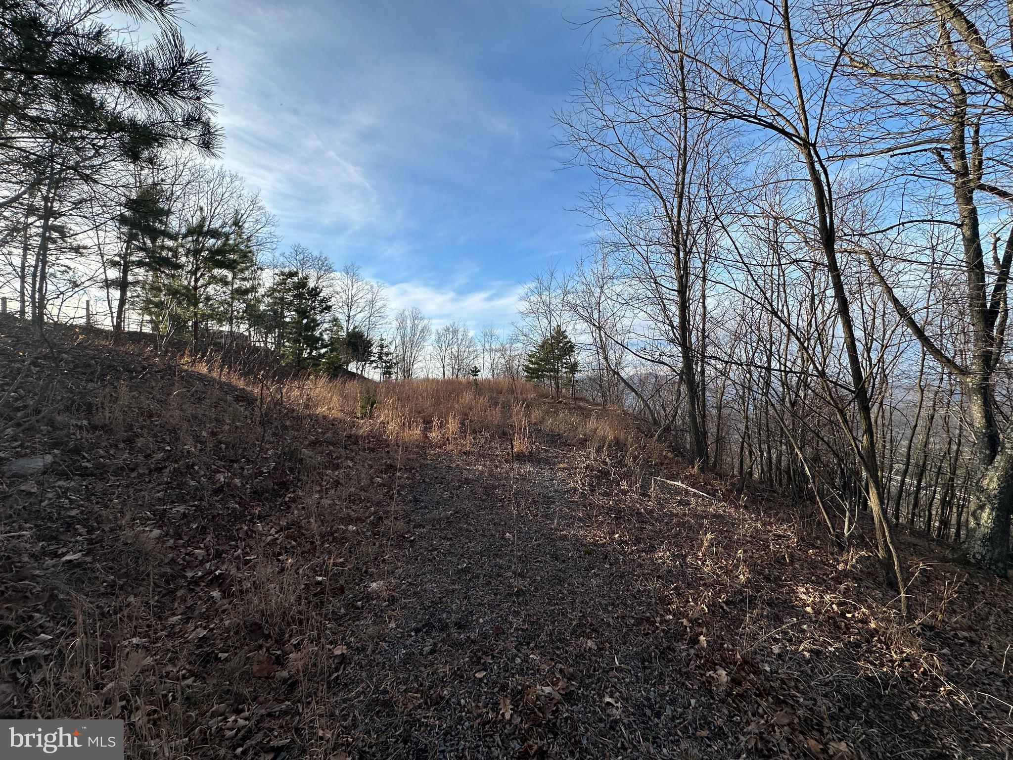ASHTON WOODS - Land