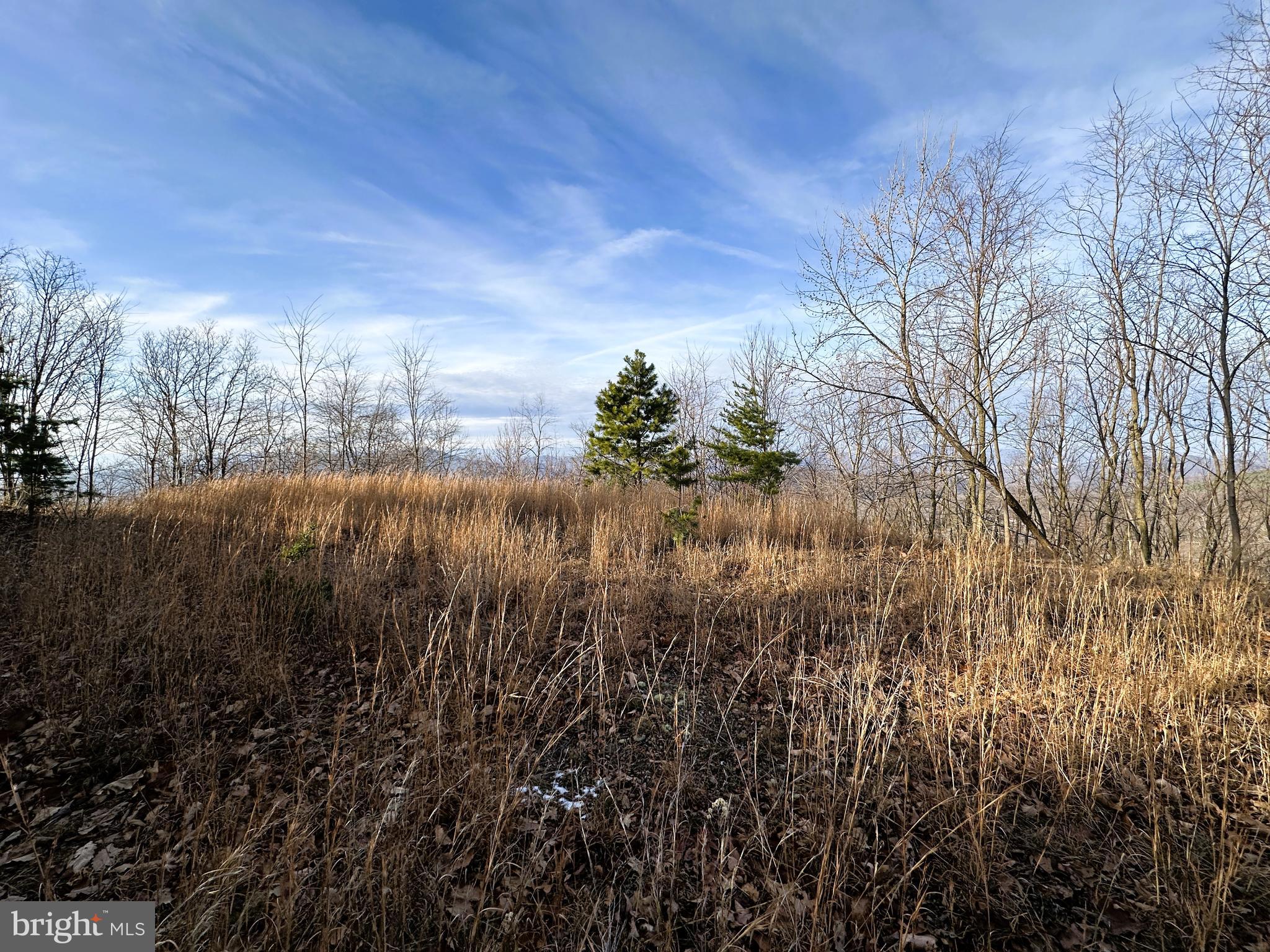 ASHTON WOODS - Land