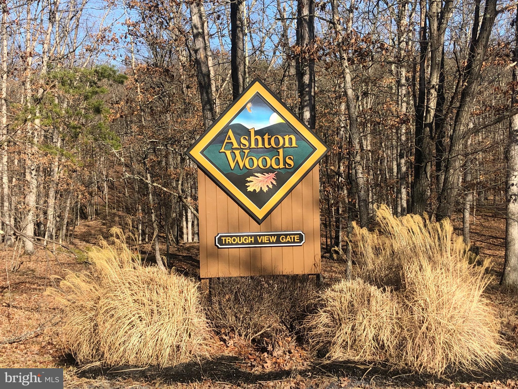 ASHTON WOODS - Land