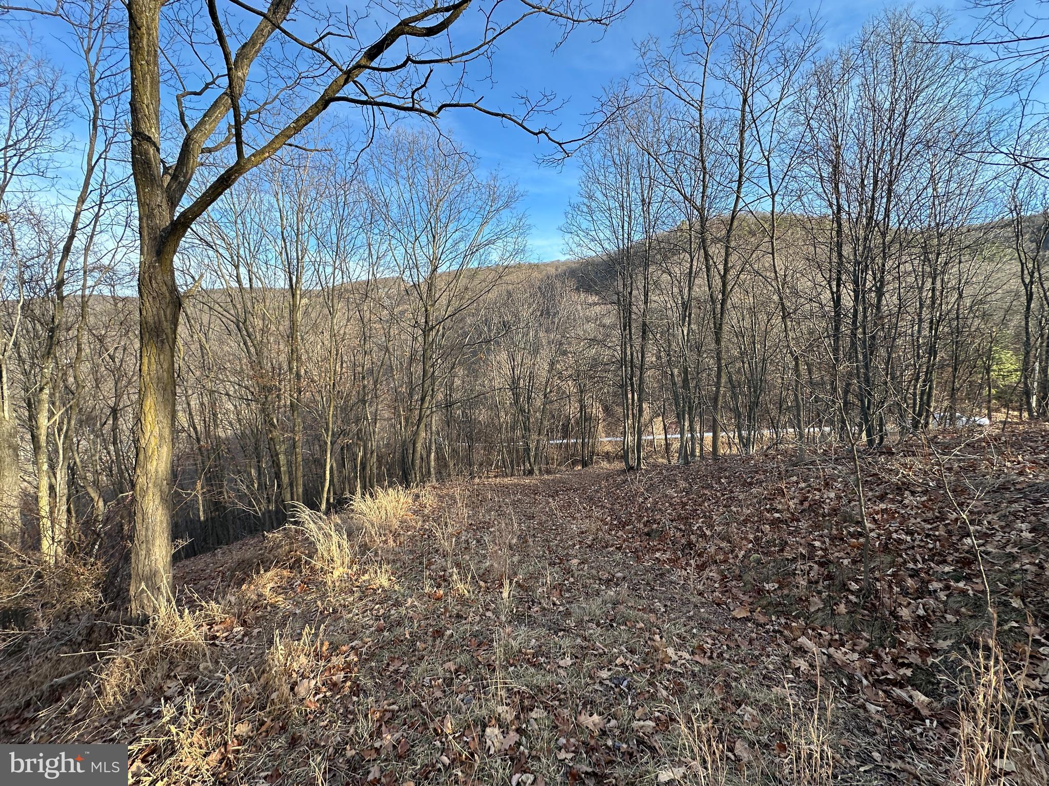 ASHTON WOODS - Land