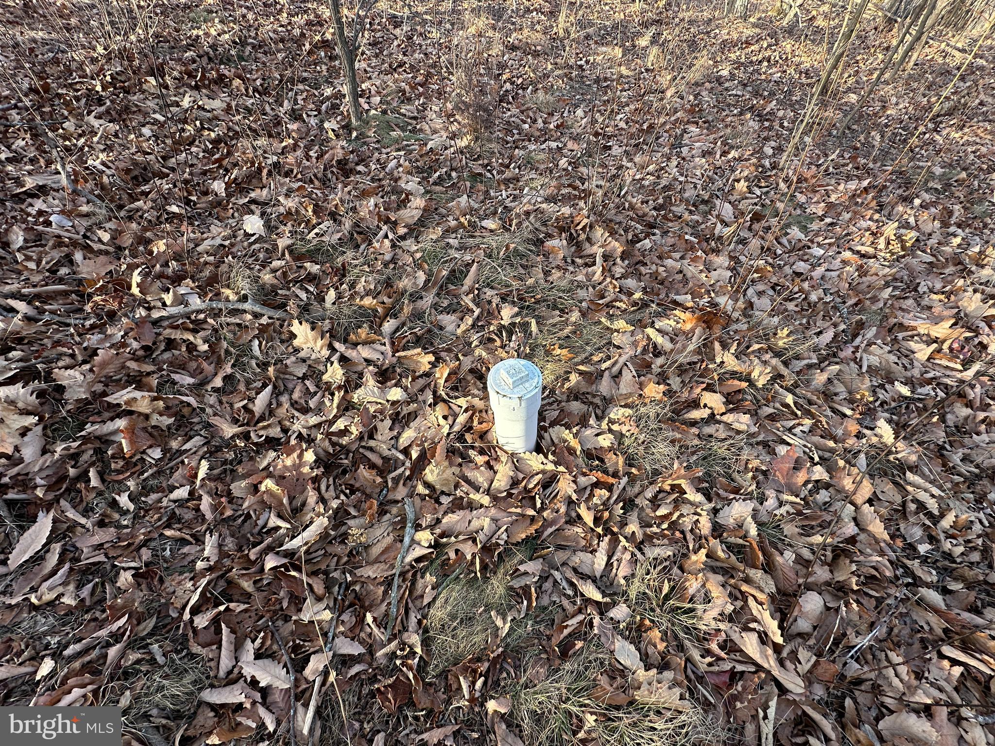 ASHTON WOODS - Land