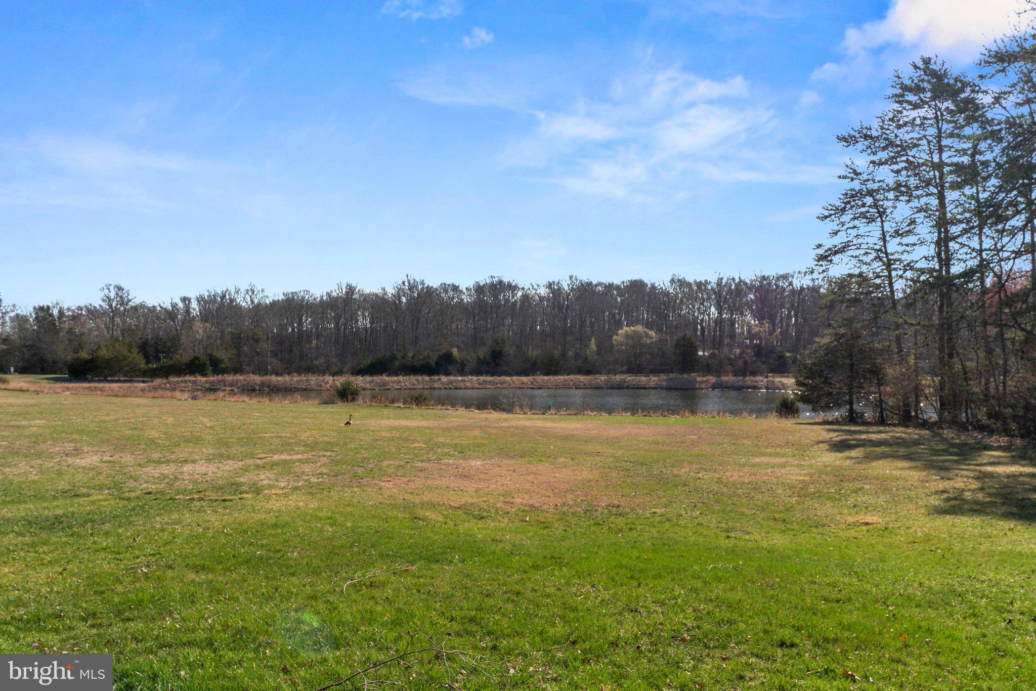VINT HILL - Residential Lease
