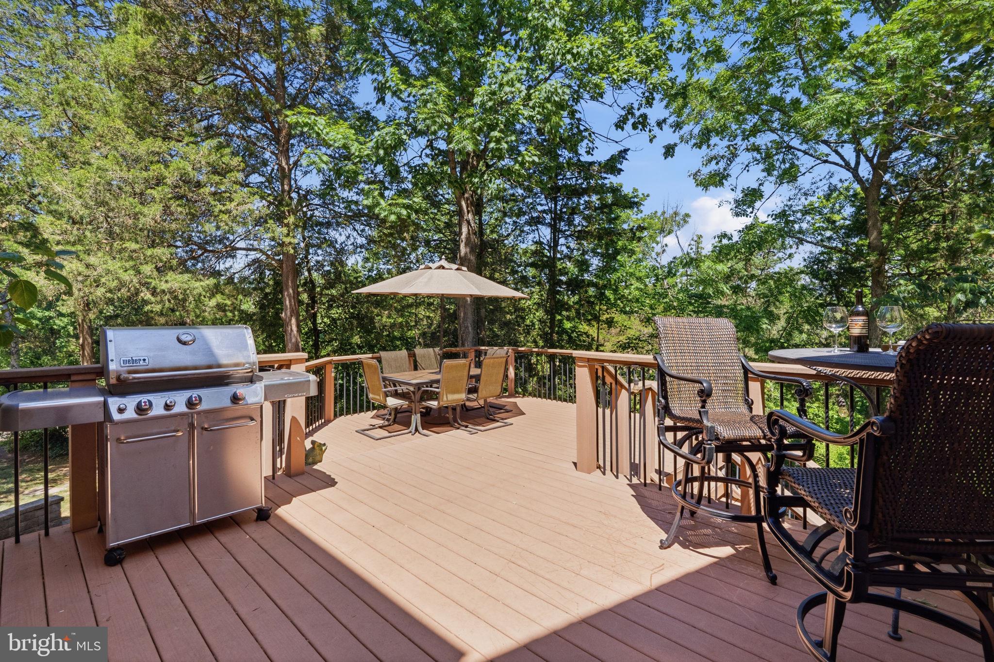 SILVER LEAF FARMS - Residential