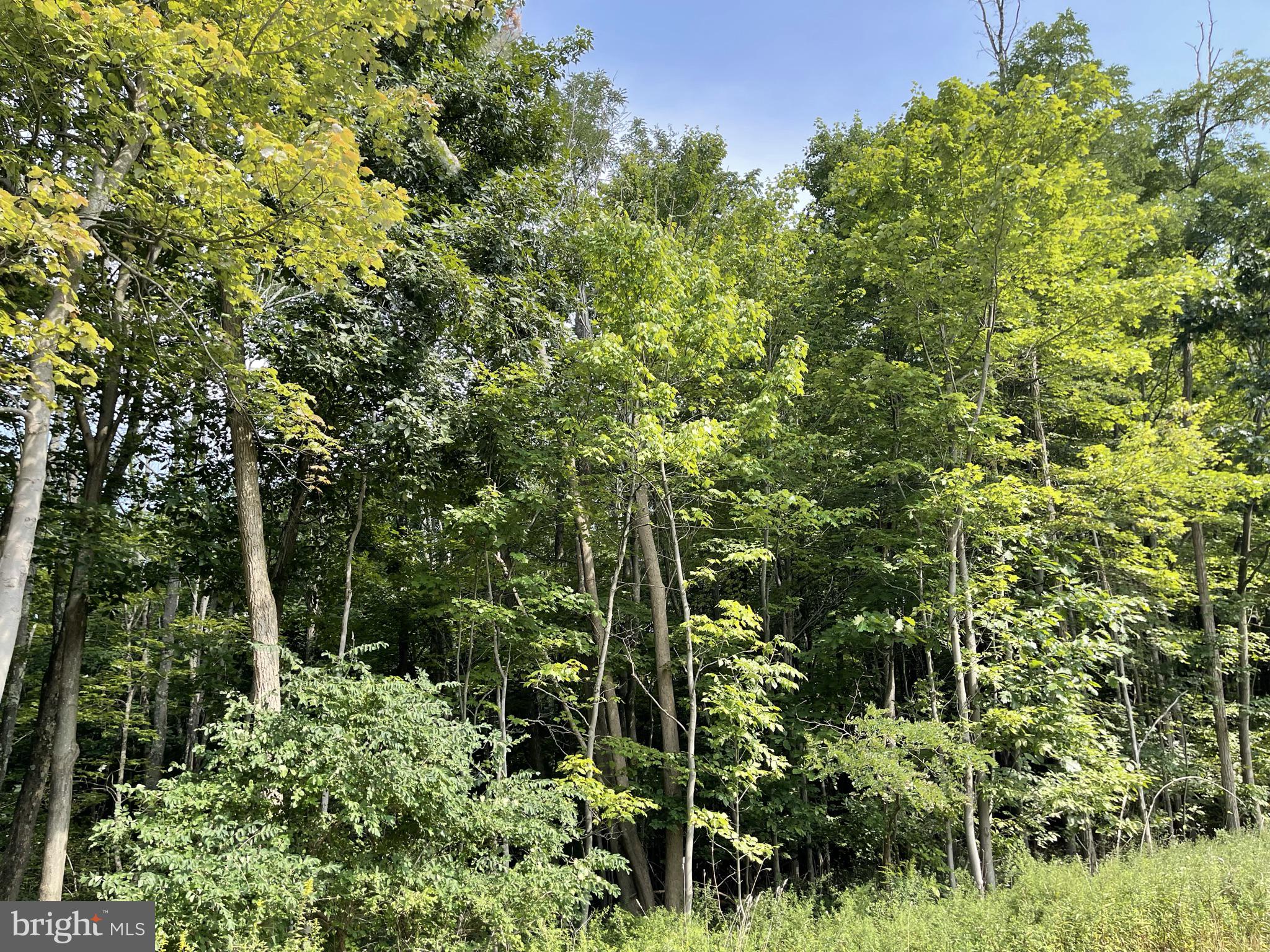 This parcel (Tract 3) is part of Tax ID#01005286 and Liber 2124   Folio 51.  
Wooded land with good road frontage.
Plat attached in documents.