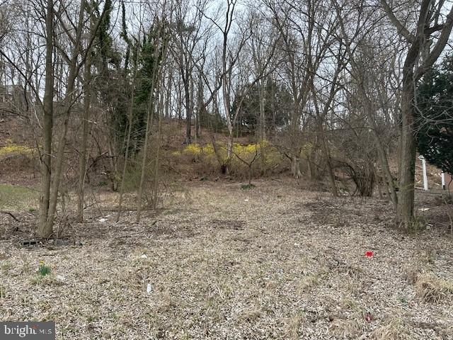 Small-town living has its charm, and this 0.724-acre parcel on a quiet street in Romney, West Virginia, offers a great opportunity to bring your residential plans to life. Whether you're considering a single-family home or a small multi-unit dwelling (1-4 units), this property provides flexibility to suit your needs. With all public utilities available, development is made easier, making it a solid option for homeowners or investors. Located in a historic small town with access to local amenities, schools, and outdoor recreation, it also offers convenient proximity to Winchester, Virginia, just 45 minutes away, and Washington, D.C., within two hours. If you're looking for a place to build in Romney, this could be worth considering.