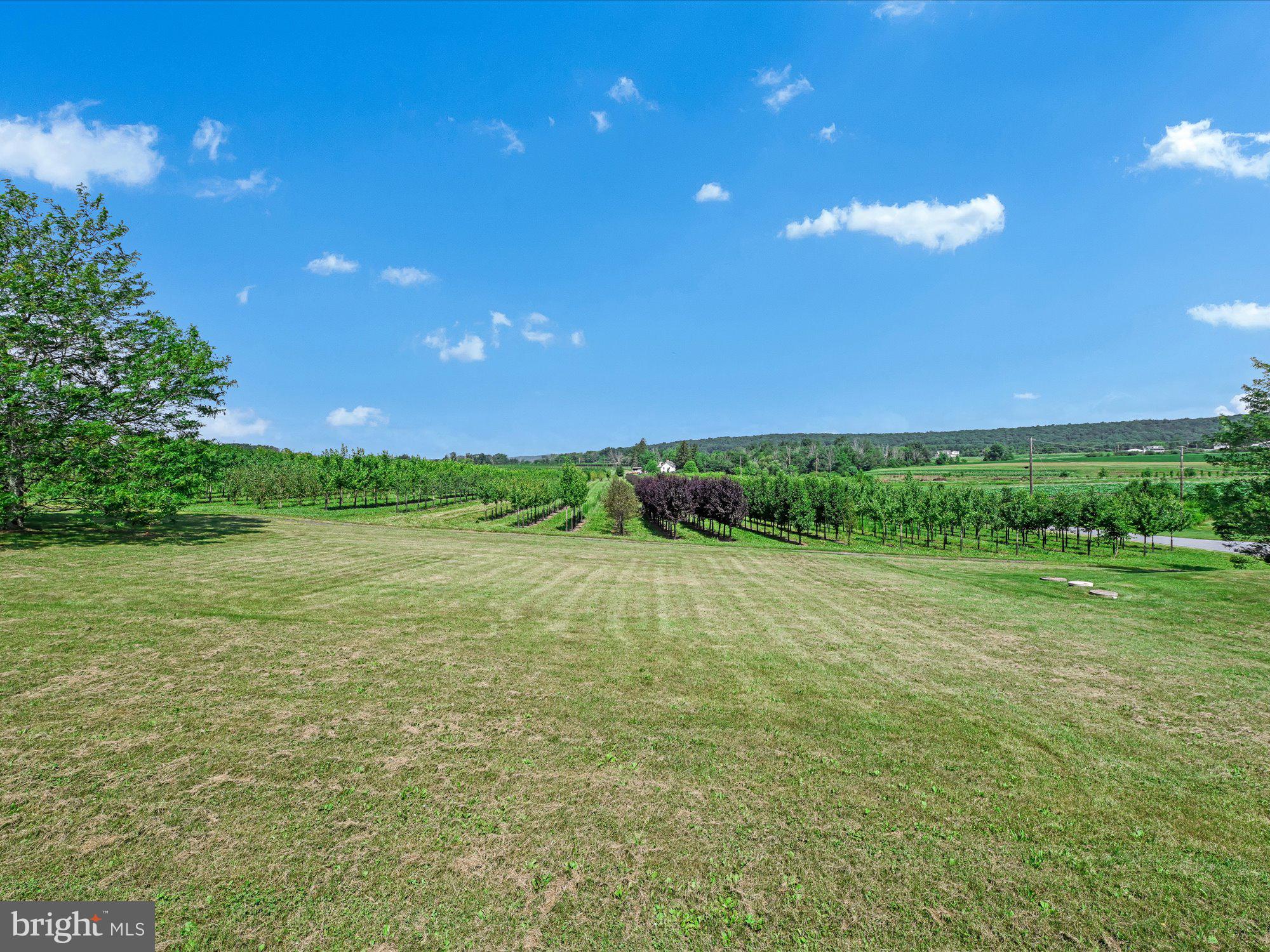 MCKEANSBURG - Residential