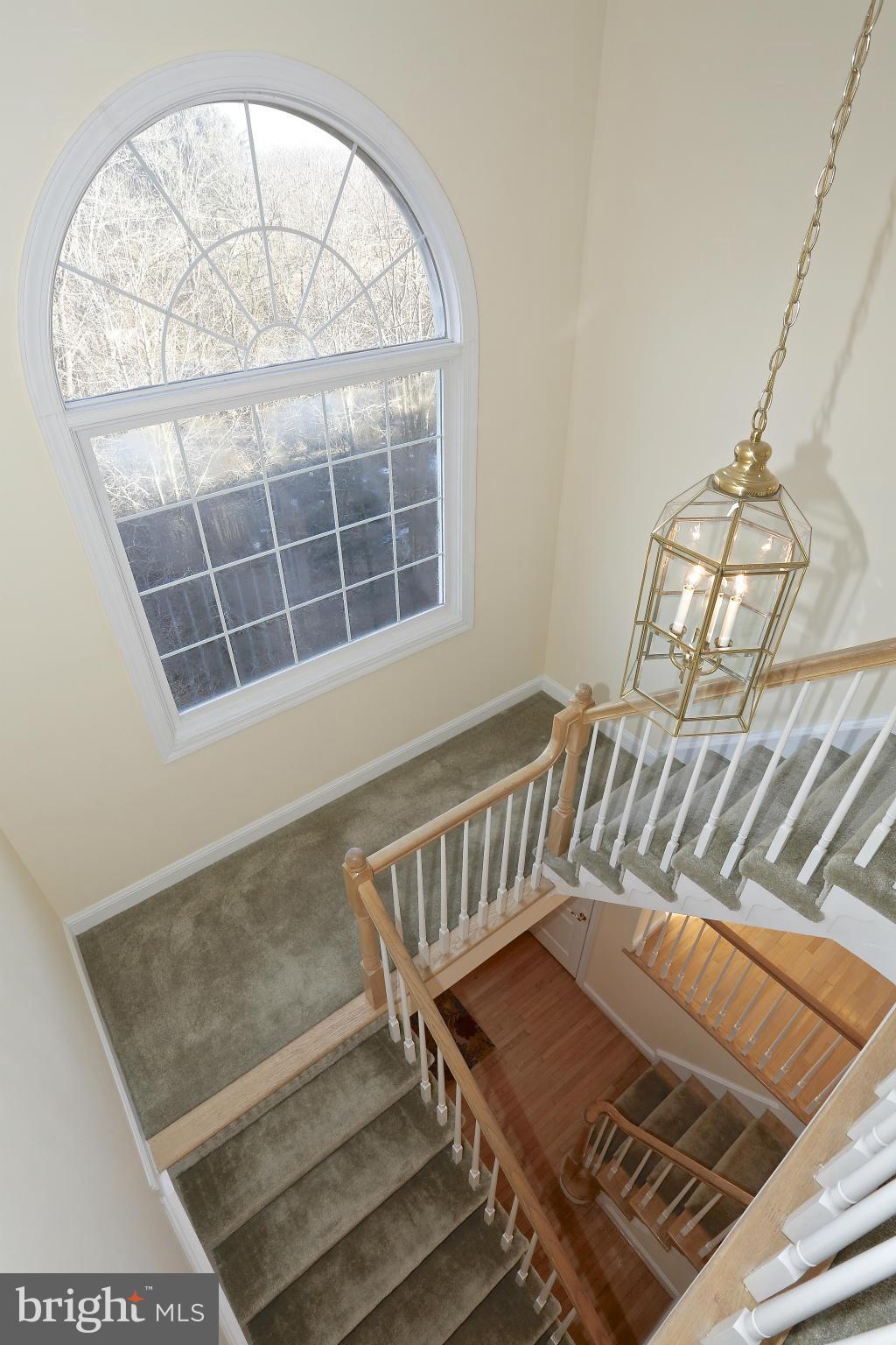 TOWER OAKS - Residential
