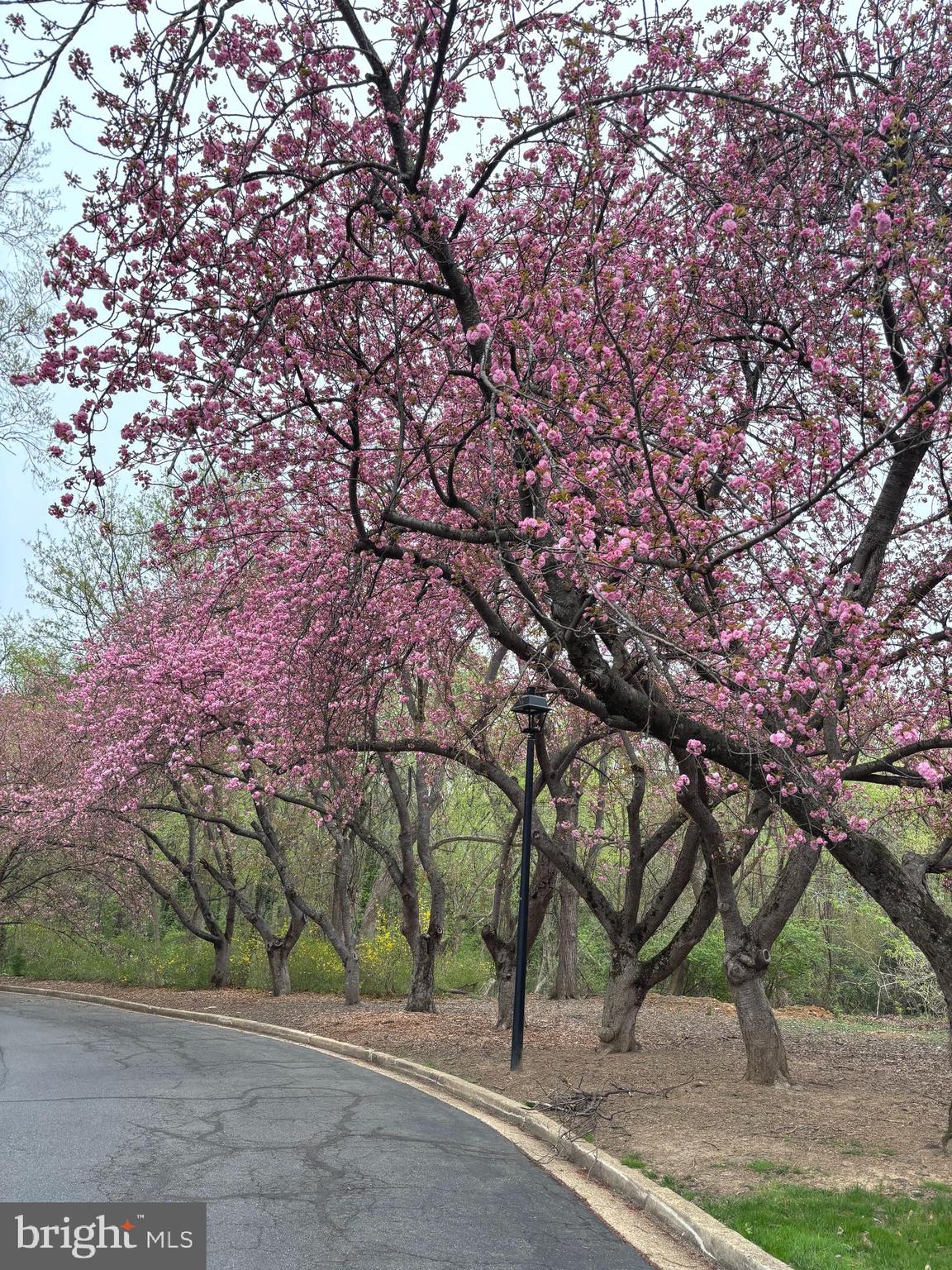 WESTMORELAND SQUARE - Residential
