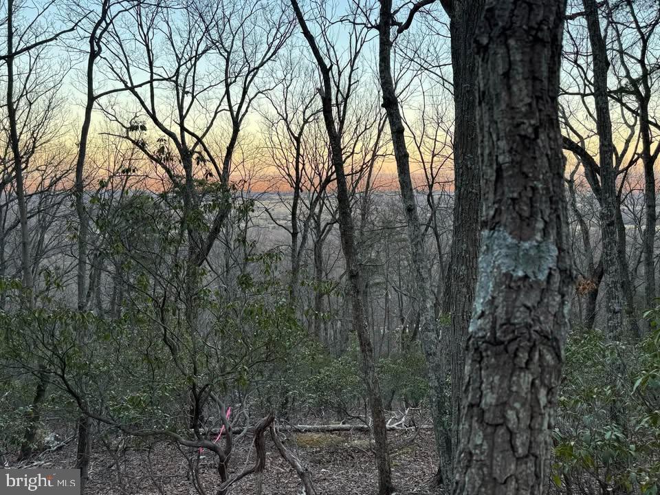 BULL RUN MOUNTAIN ESTATE - Land