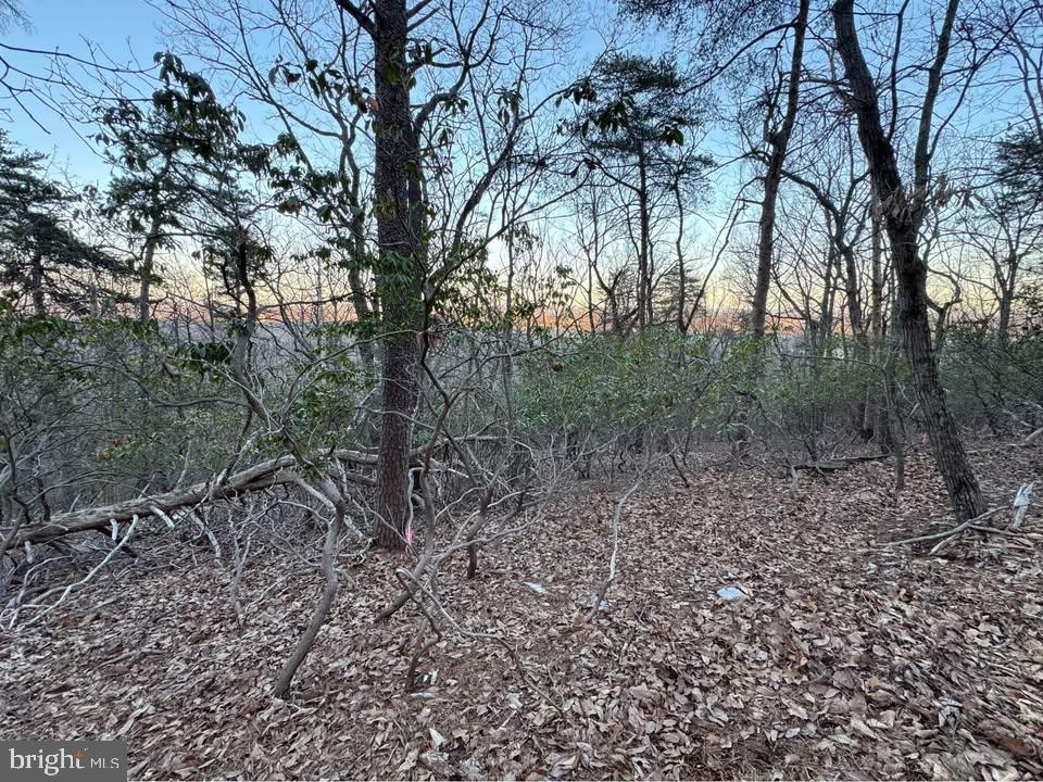 BULL RUN MOUNTAIN ESTATE - Land