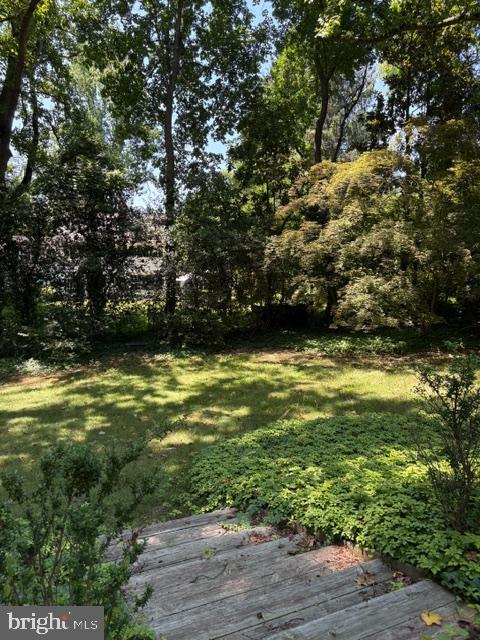 BURNING TREE VIEW - Residential