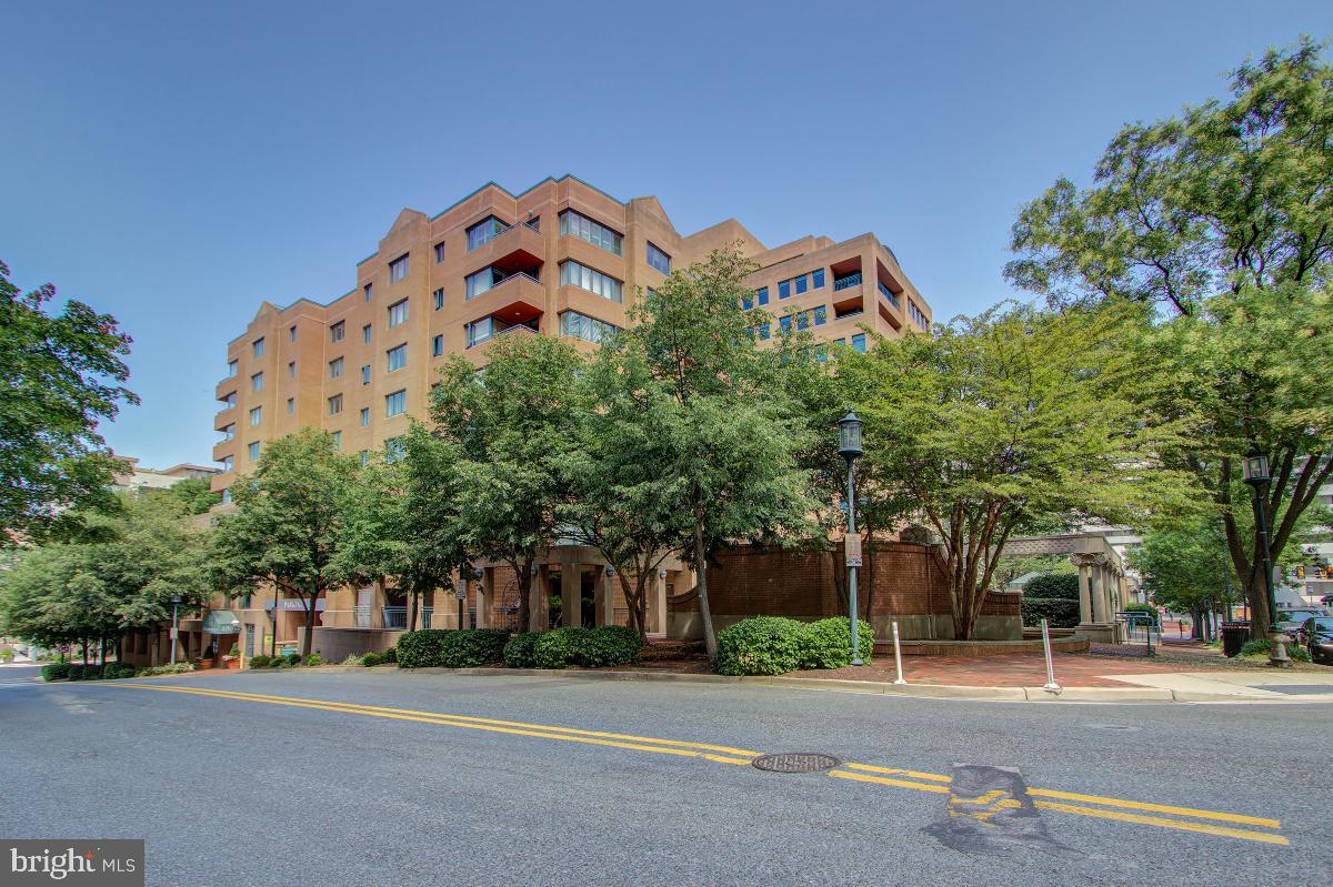HAMPDEN SQUARE - Residential