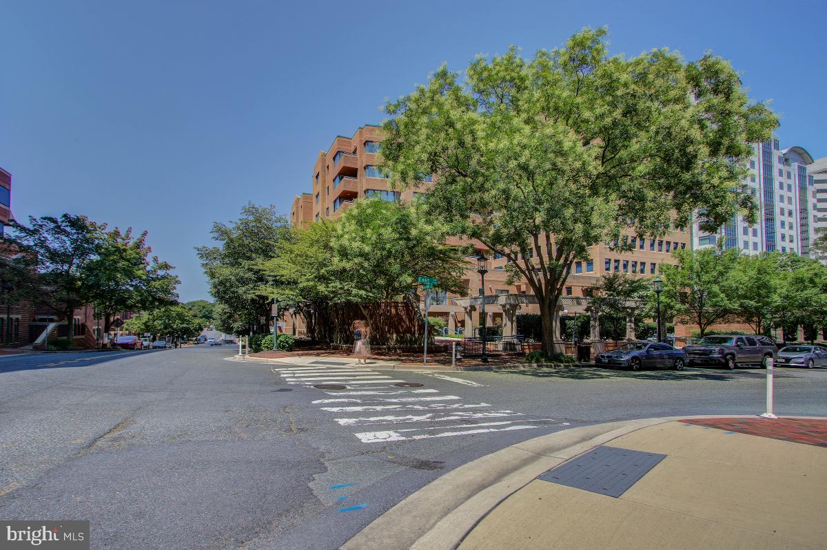 HAMPDEN SQUARE - Residential