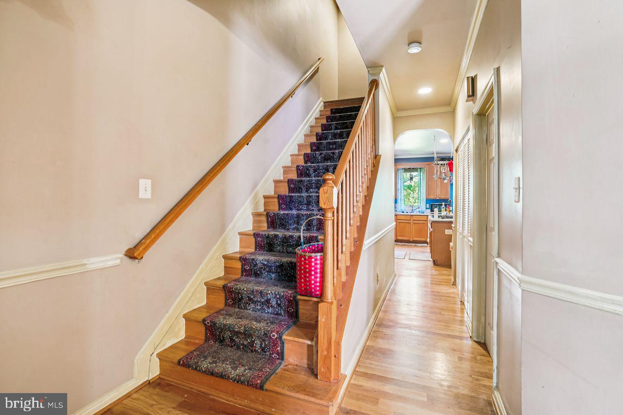 TAKOMA PARK - Residential