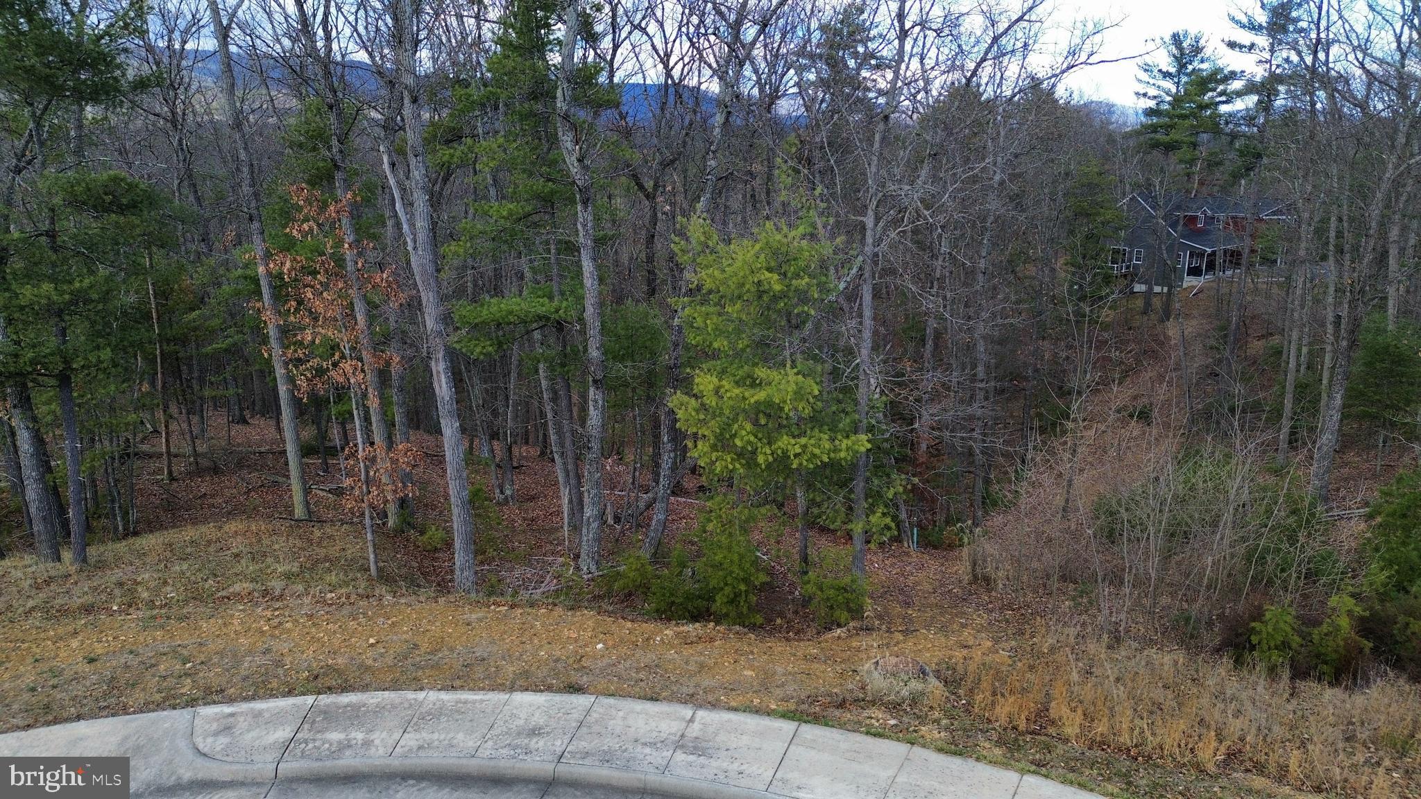 Discover the perfect canvas for your dream home or vacation getaway on 1.5 pristine acres nestled within the scenic Creek Valley Subdivision. Embrace the freedom of no HOA dues. Build your dream home with seasonal mountain views. Stop by today and seize the opportunity to turn your dream home aspirations into reality. Recently marked boundary lines!